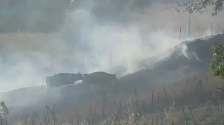 Whatsapp Image 2025 11 08 At 180310