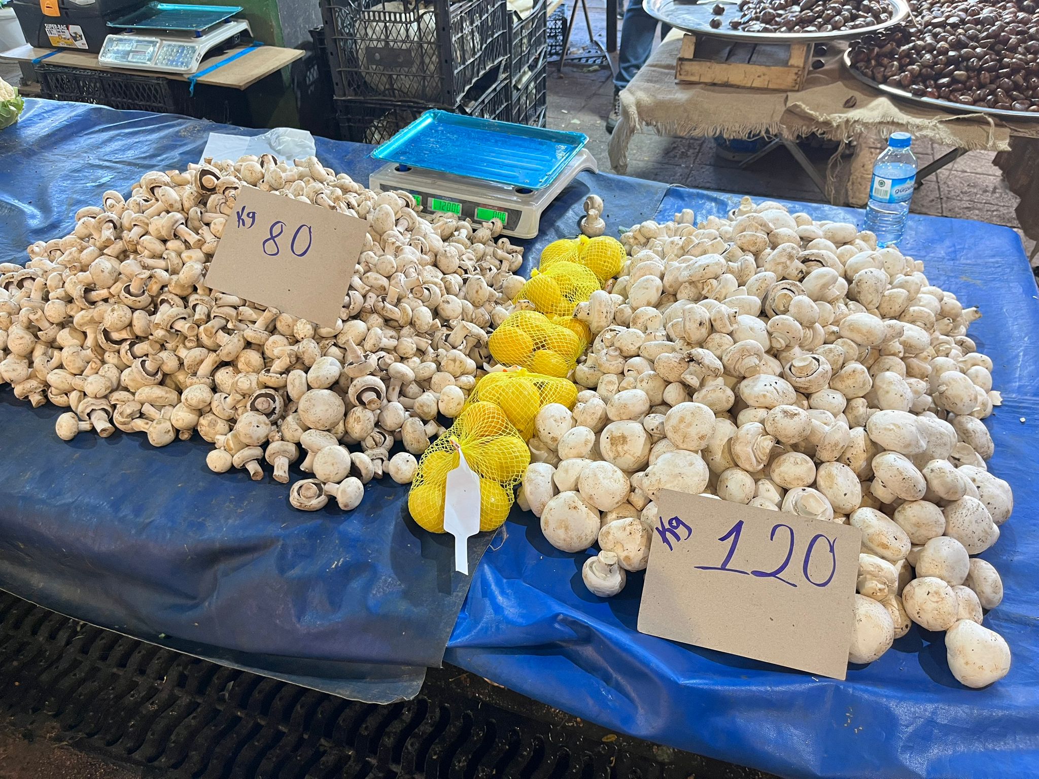 Whatsapp Image 2025 11 13 At 11.57.33 (1)