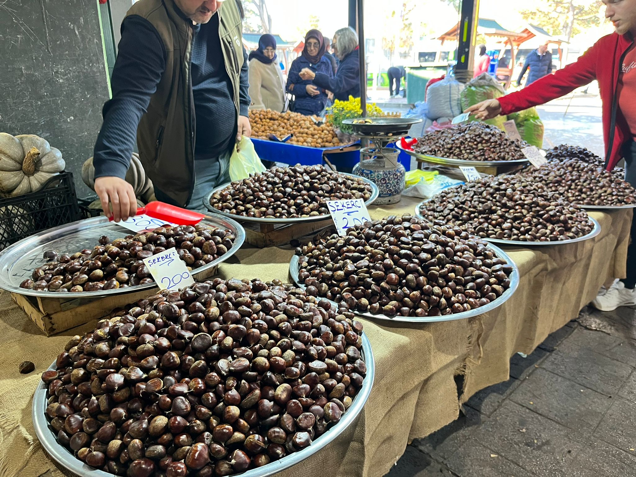 Whatsapp Image 2025 11 13 At 11.57.33