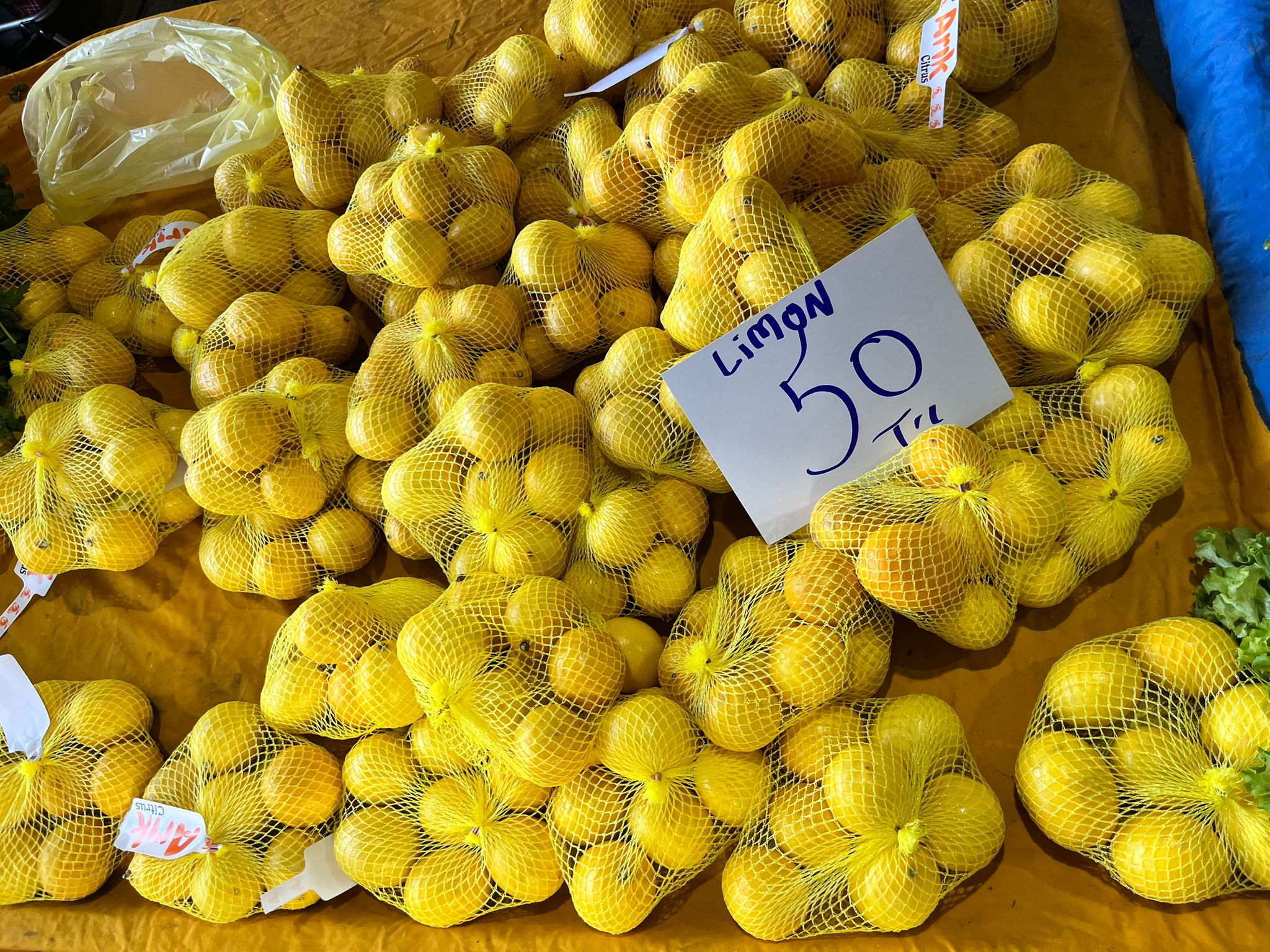 Whatsapp Image 2025 11 13 At 11.57.34 (1)