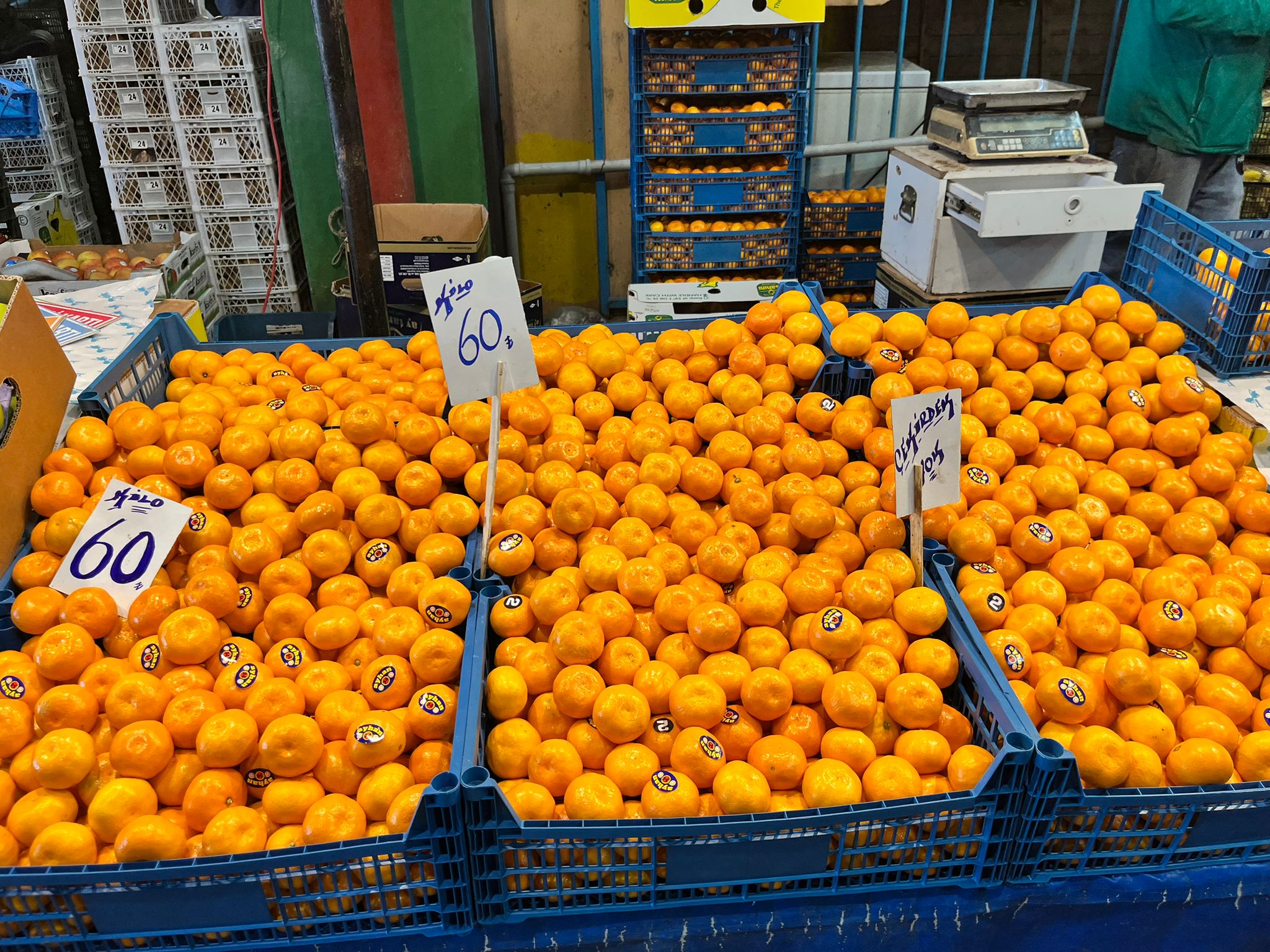 Whatsapp Image 2025 11 13 At 11.57.34 (2)