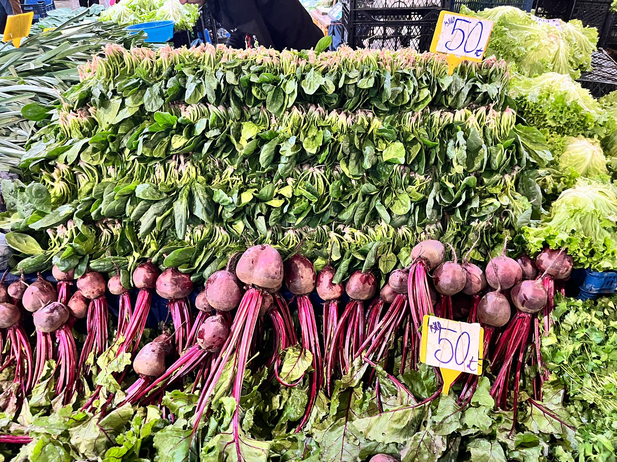 Whatsapp Image 2025 11 13 At 11.57.54