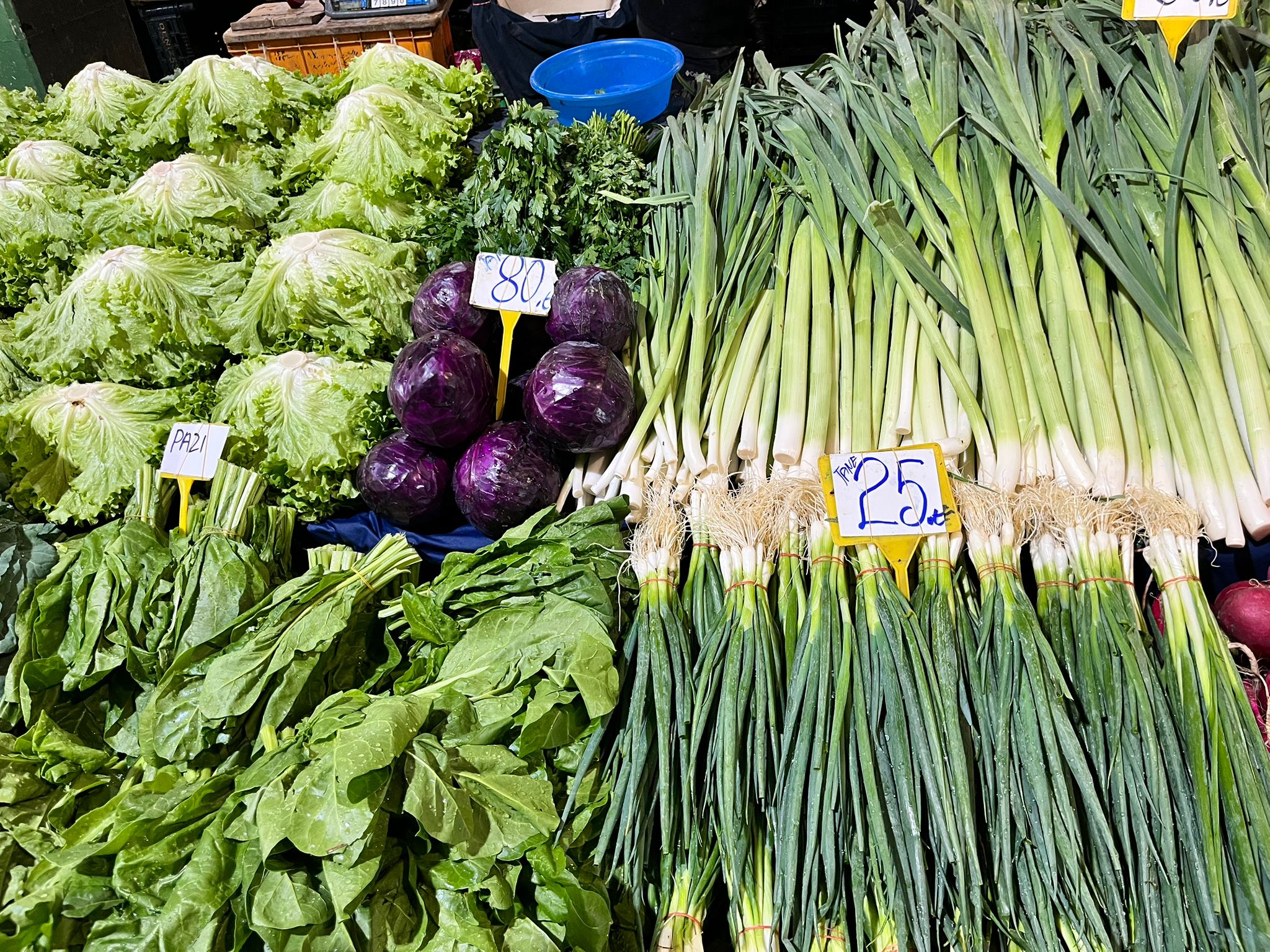 Whatsapp Image 2025 11 13 At 11.57.58