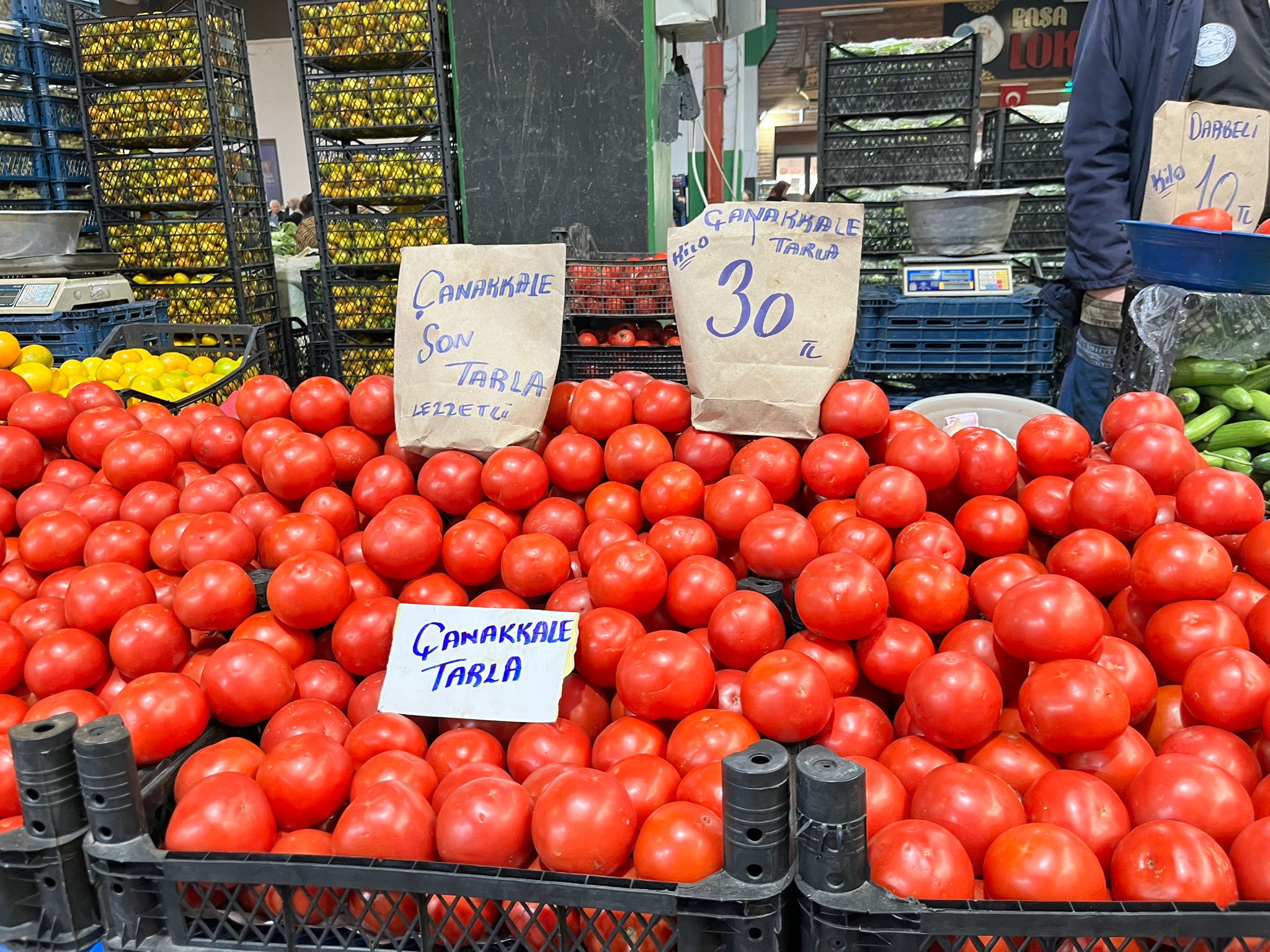 Whatsapp Image 2025 11 13 At 11.57.59 (1)