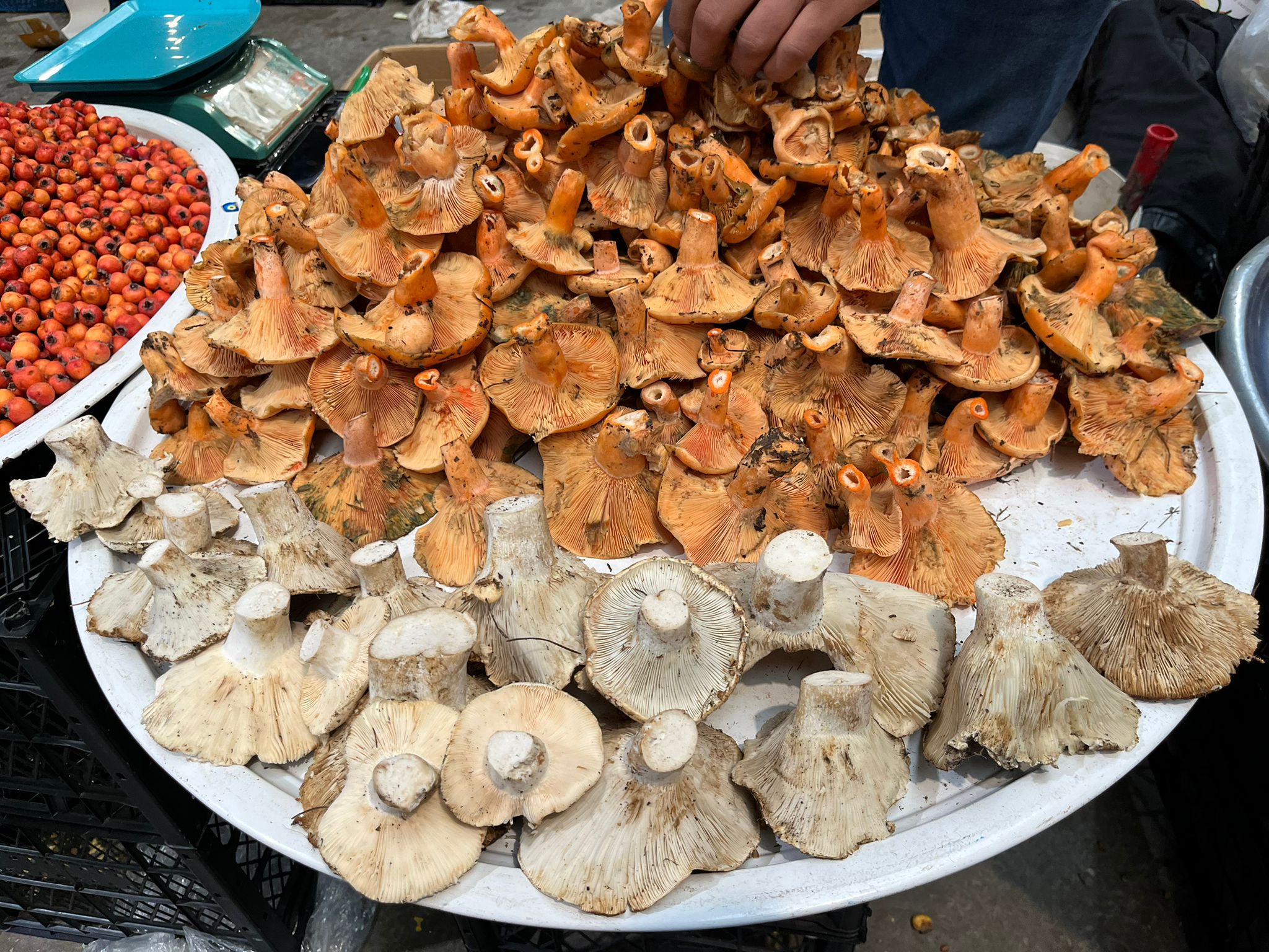 Whatsapp Image 2025 11 13 At 11.57.59 (2)