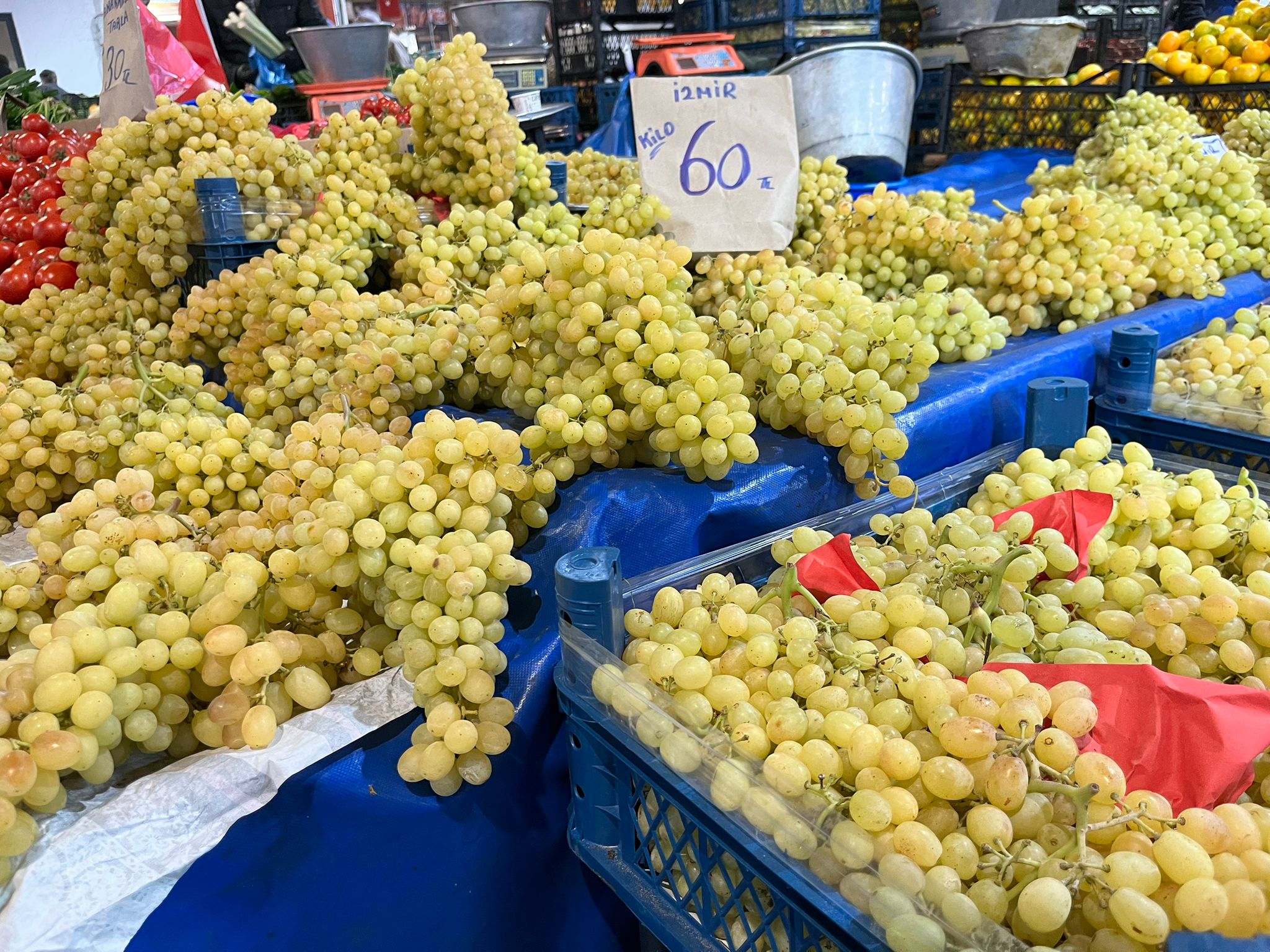 Whatsapp Image 2025 11 13 At 11.57.59