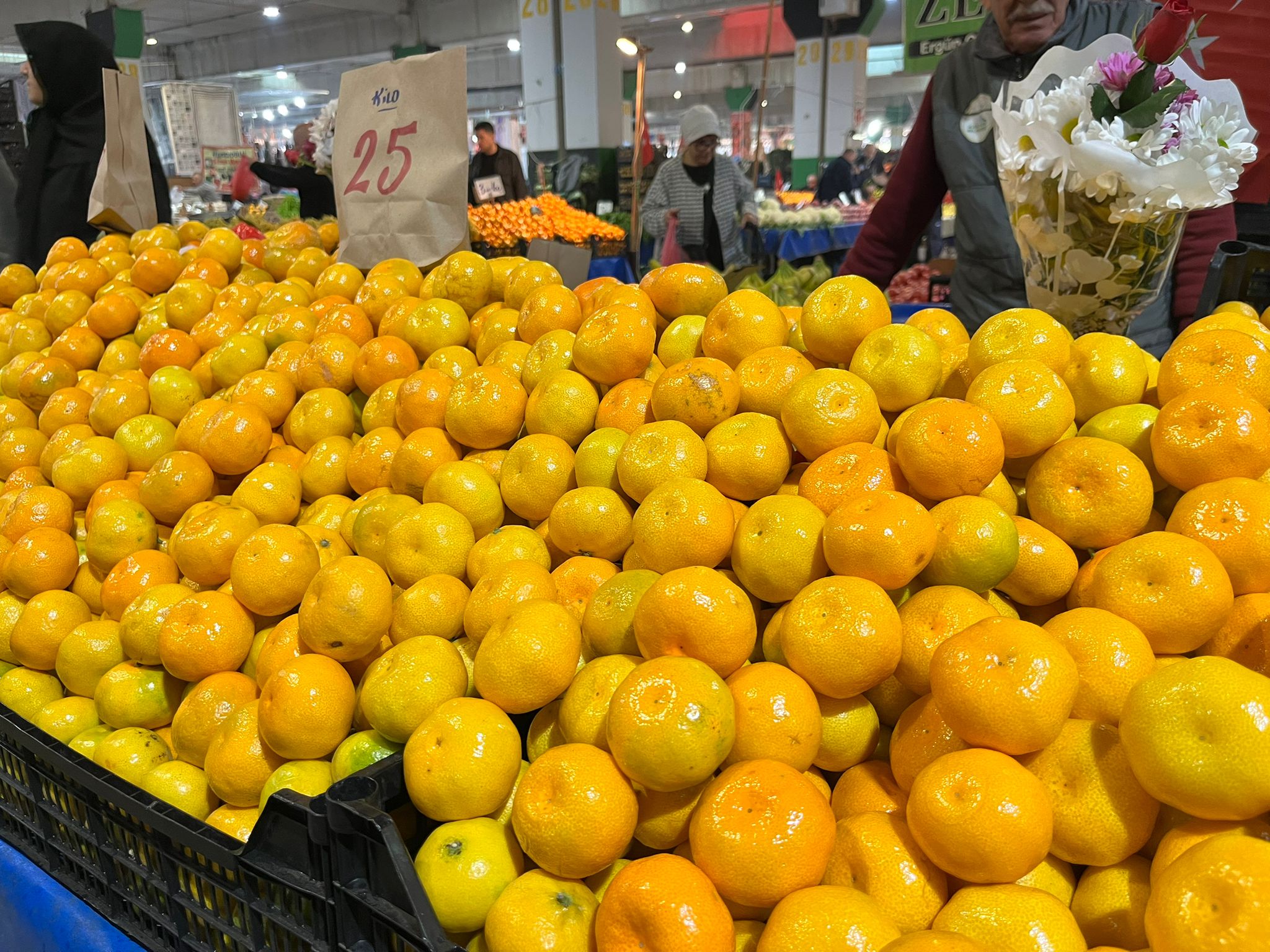 Whatsapp Image 2025 11 13 At 11.58.00 (1)