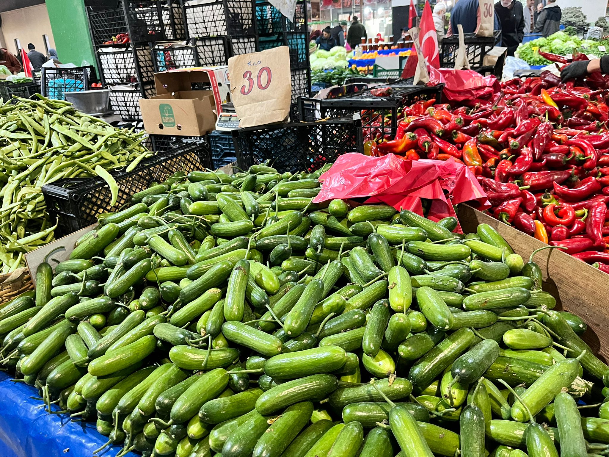 Whatsapp Image 2025 11 13 At 11.58.00 (2)