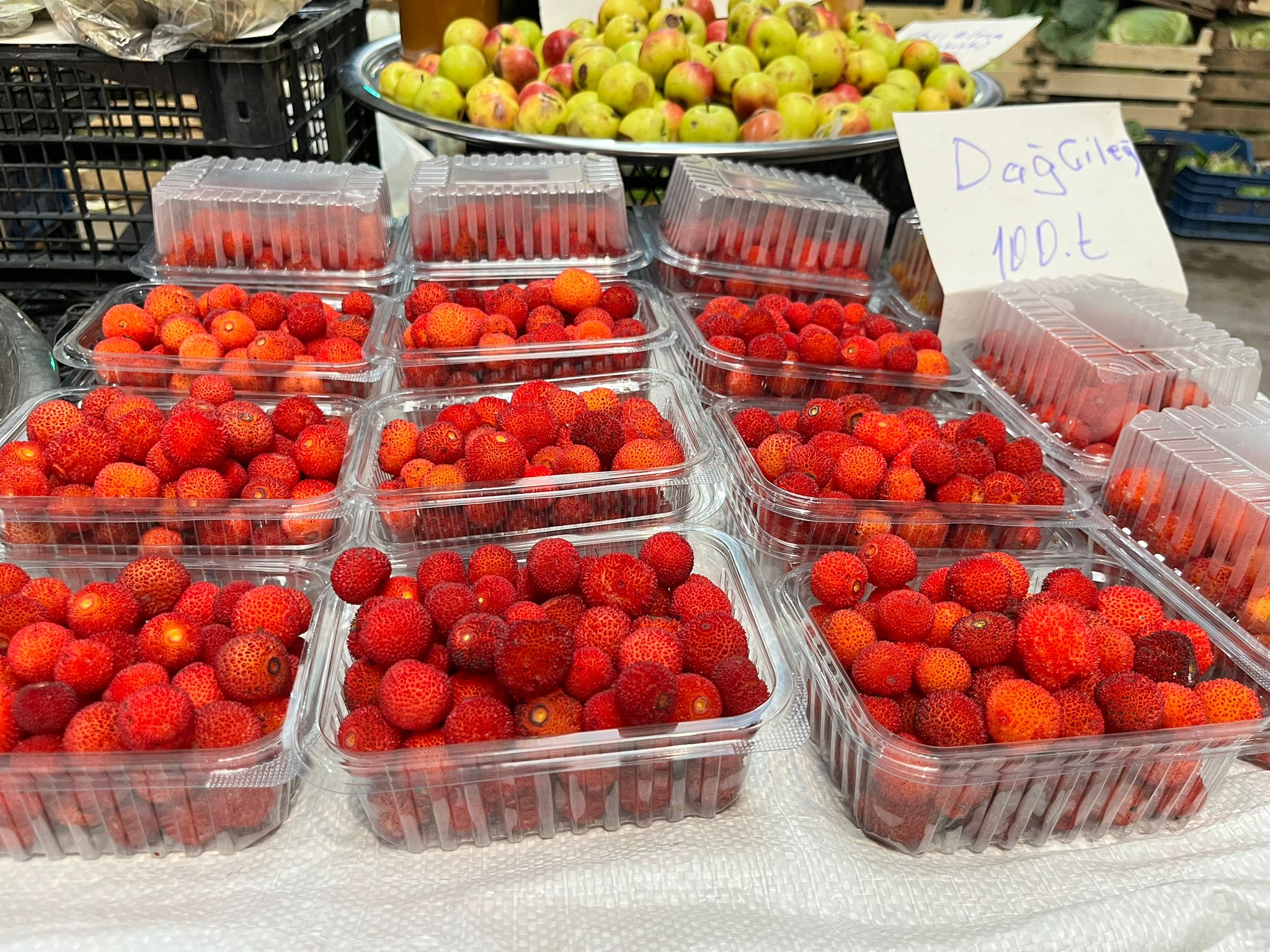 Whatsapp Image 2025 11 13 At 11.58.00