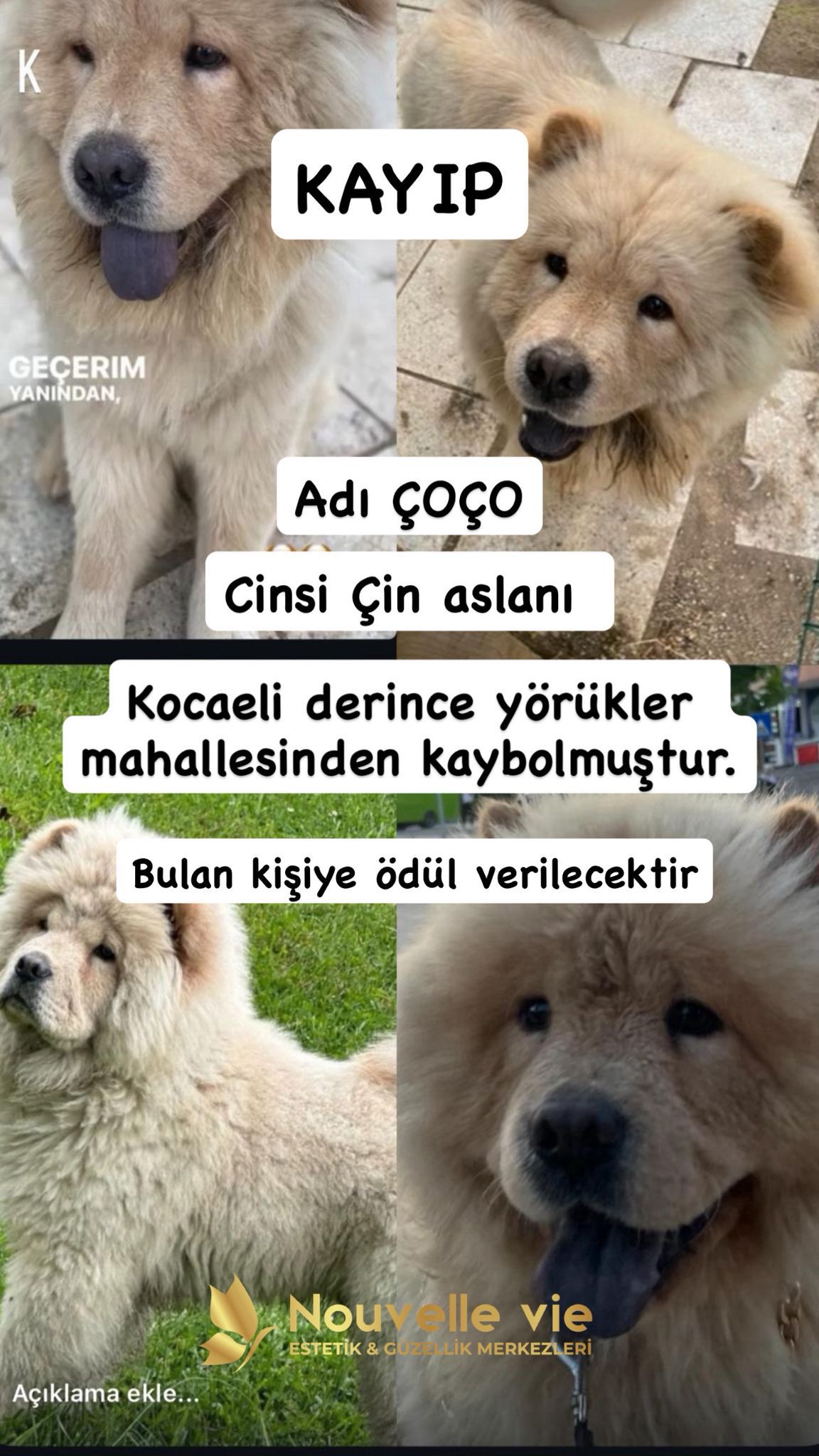 Whatsapp Image 2025 11 13 At 12.46.14