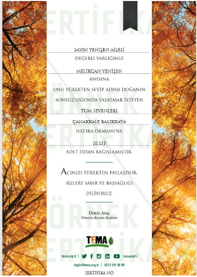 Whatsapp Image 2025 11 14 At 6.11.25 Pm (1)