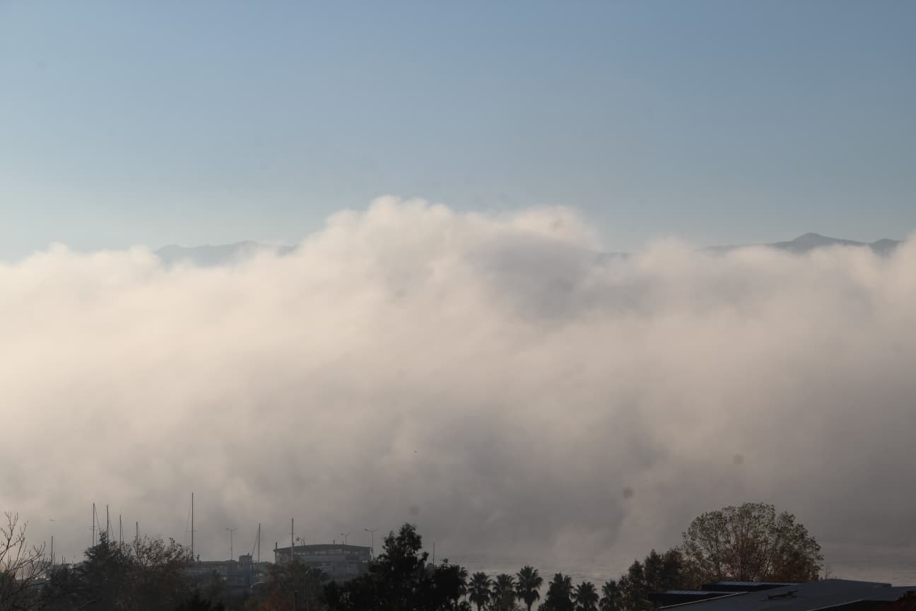 Whatsapp Image 2025 11 15 At 09.25.19 (1)