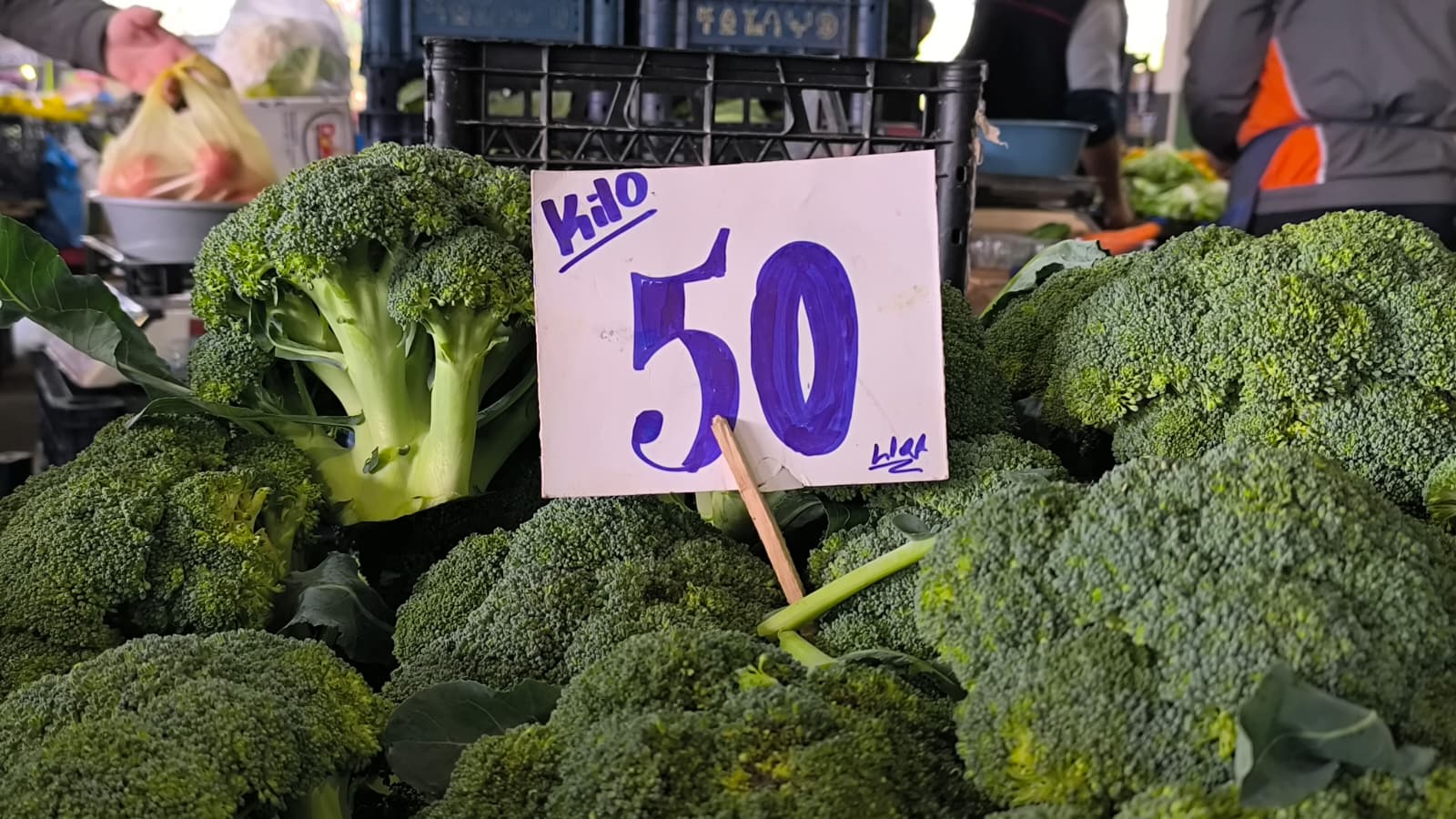 Whatsapp Image 2025 11 15 At 11.28.56