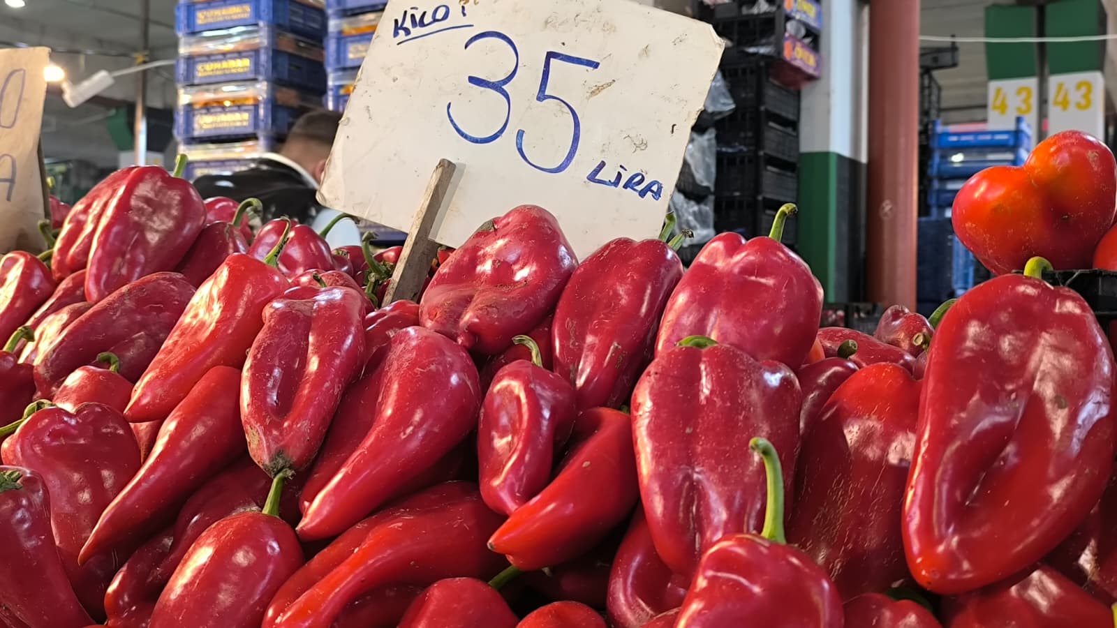 Whatsapp Image 2025 11 15 At 11.29.01 (1)