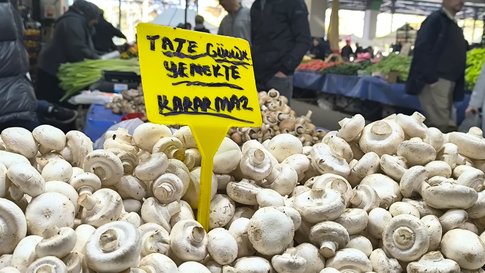 Whatsapp Image 2025 11 15 At 11.29.01 (2)