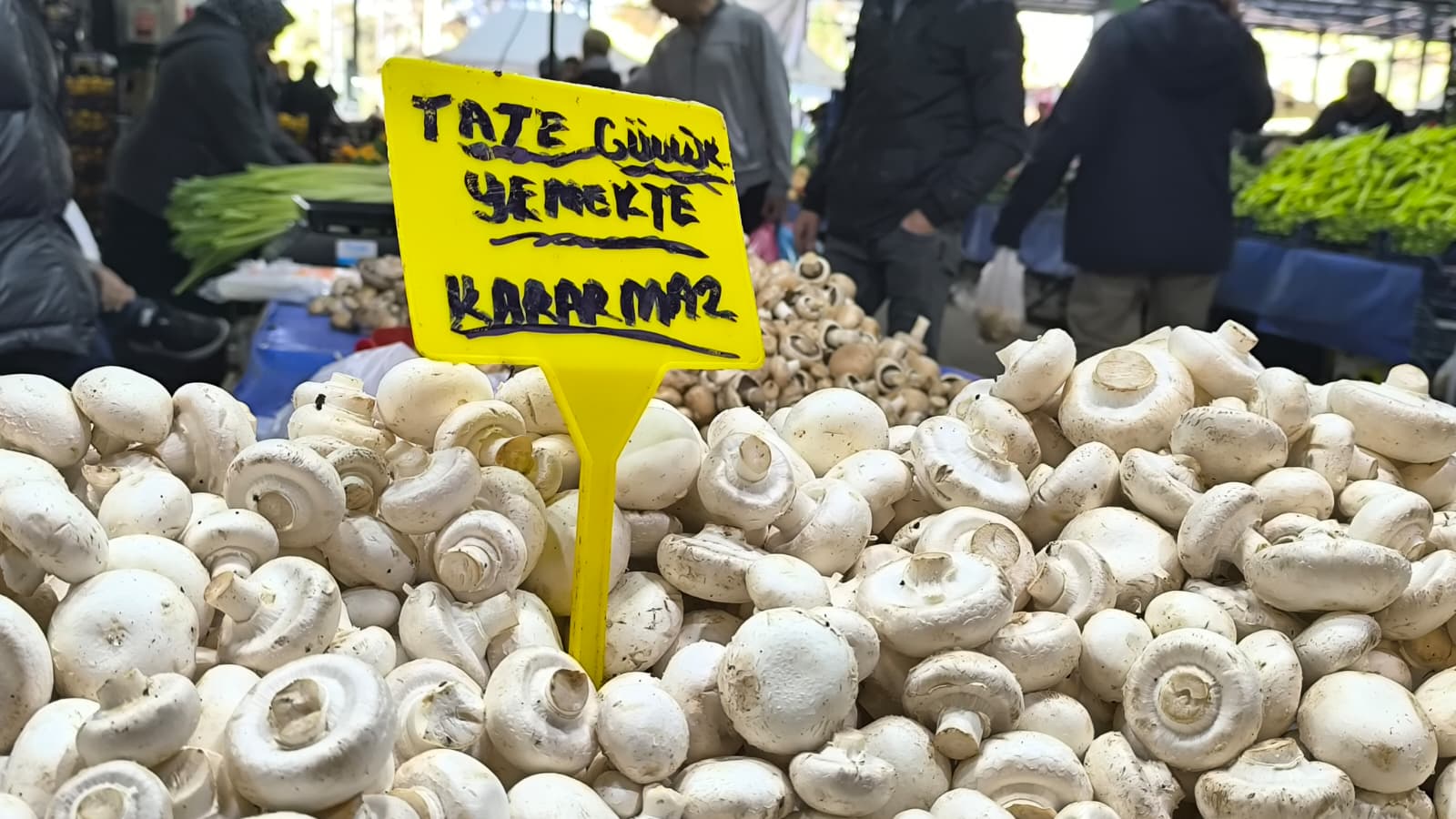 Whatsapp Image 2025 11 15 At 11.29.01 (3)