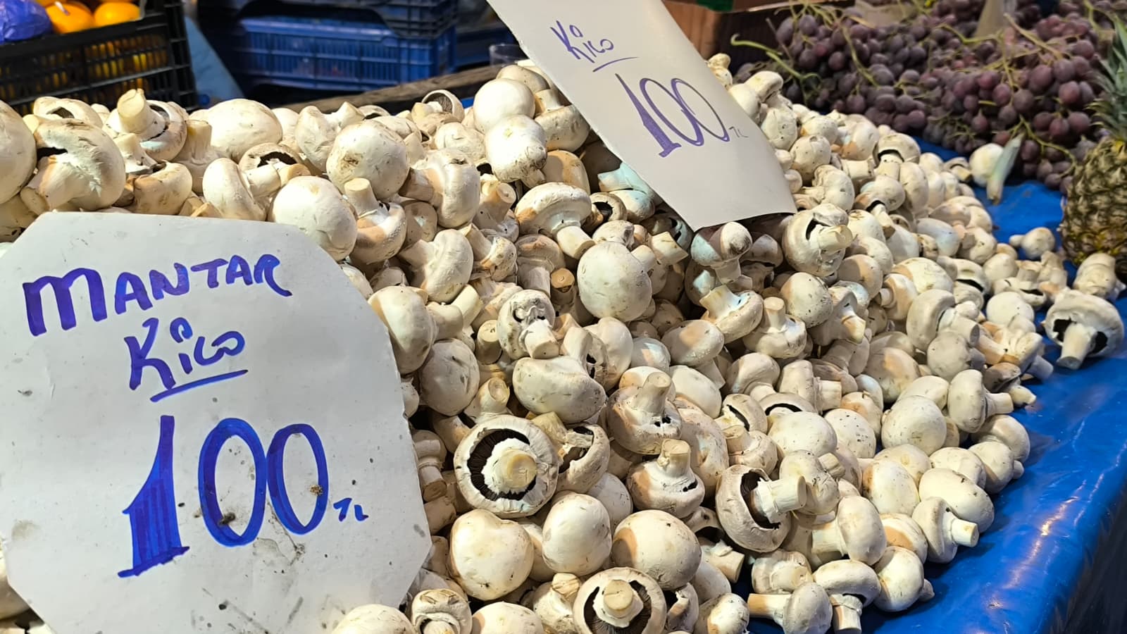 Whatsapp Image 2025 11 15 At 11.29.01