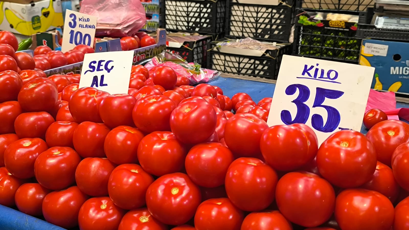 Whatsapp Image 2025 11 15 At 11.29.06