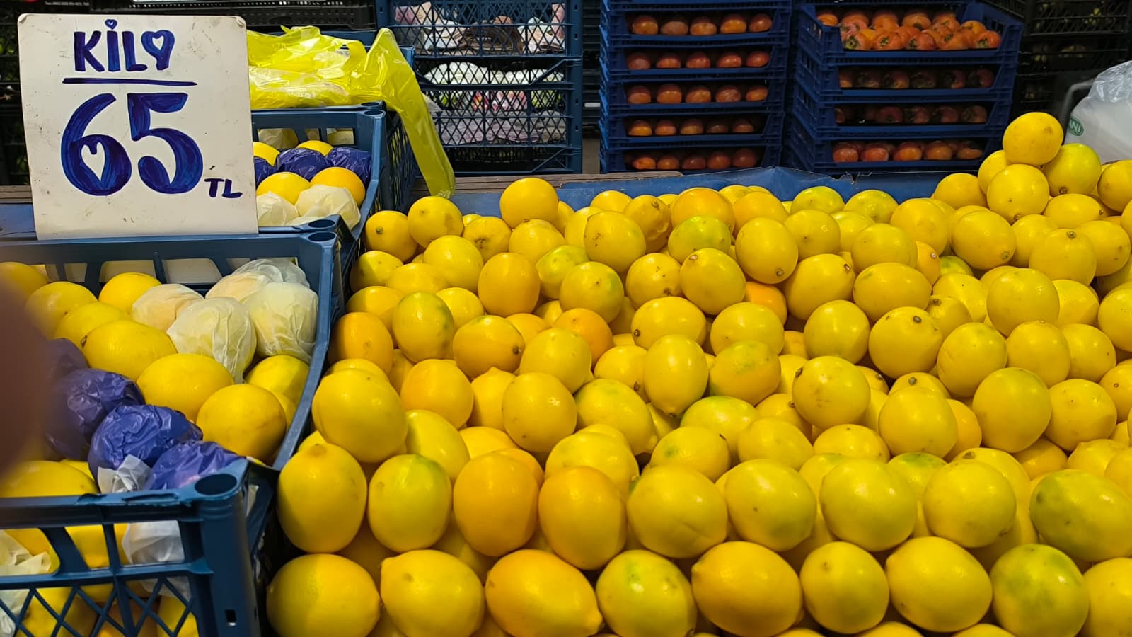 Whatsapp Image 2025 11 15 At 11.29.08