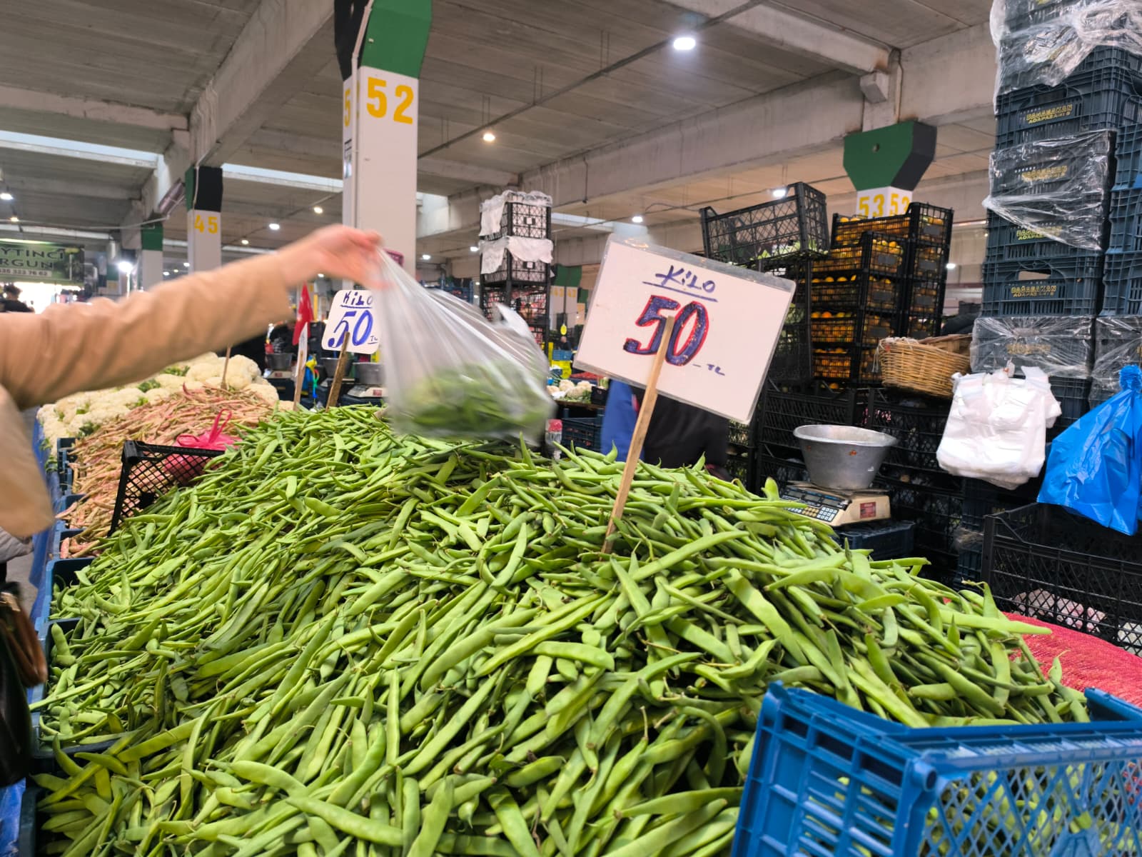 Whatsapp Image 2025 11 15 At 11.29.11