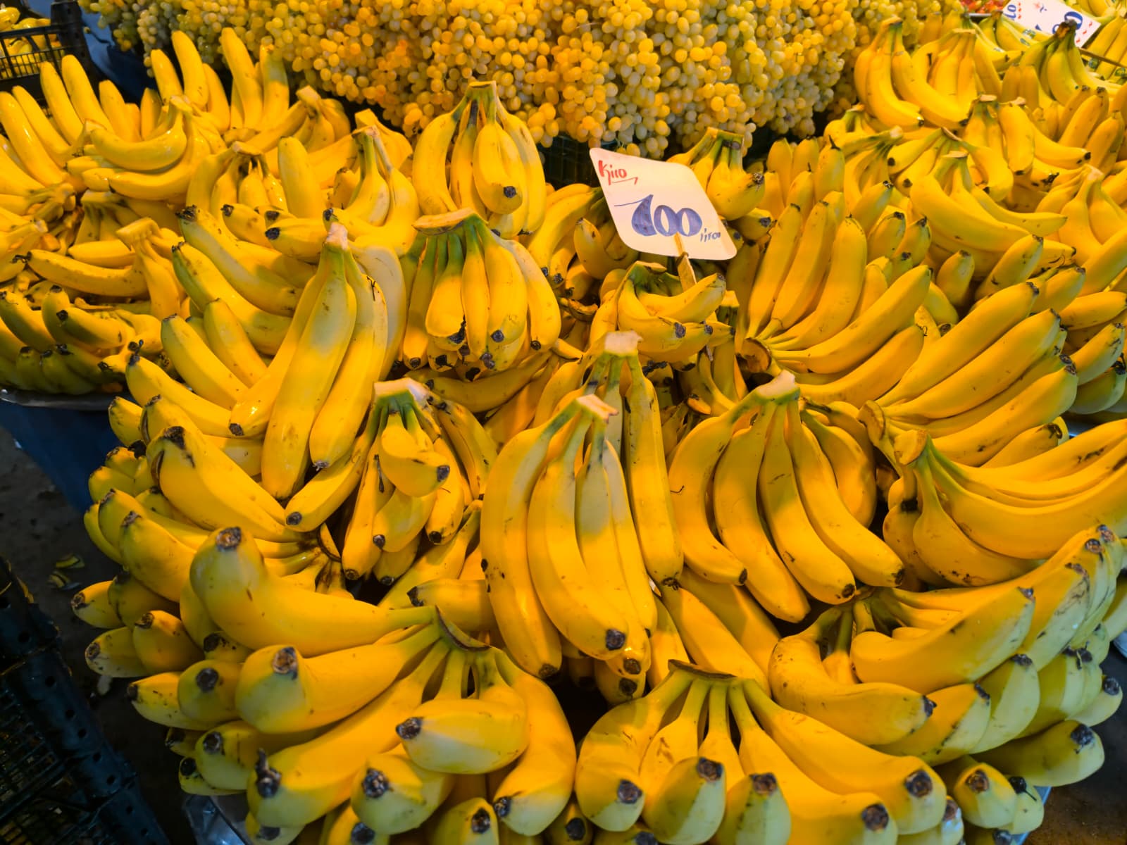 Whatsapp Image 2025 11 15 At 11.29.18