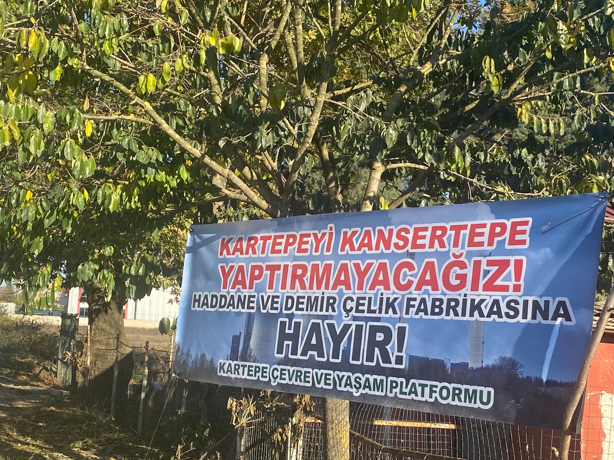 Whatsapp Image 2025 11 15 At 17.21.37 (3)