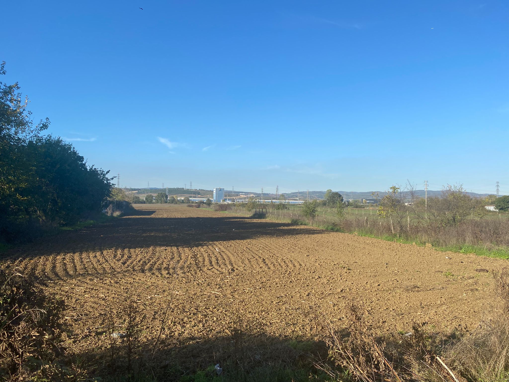 Whatsapp Image 2025 11 15 At 17.21.38