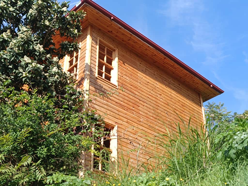 Whatsapp Image 2025 11 16 At 13.21.54