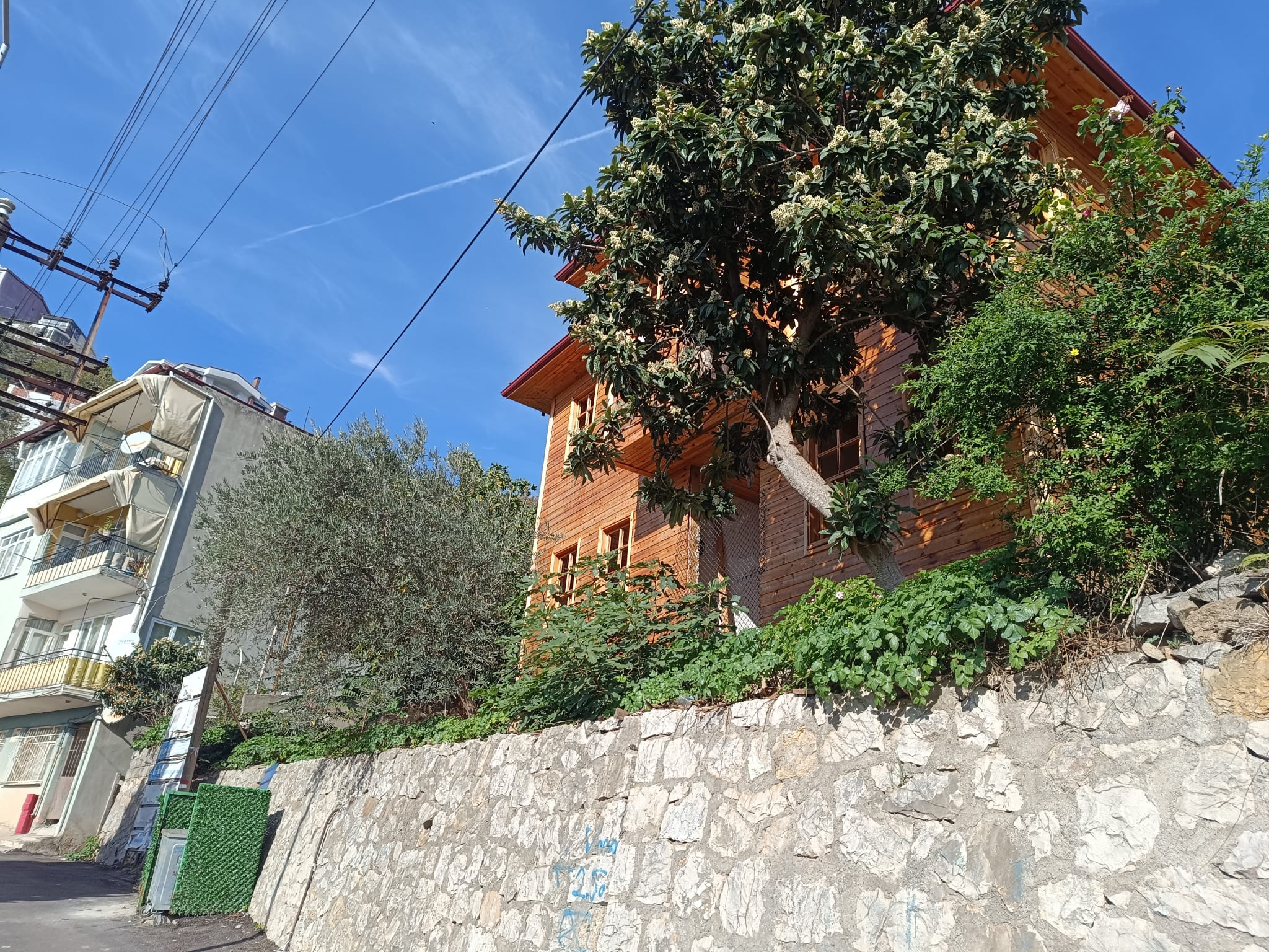 Whatsapp Image 2025 11 16 At 13.23.13