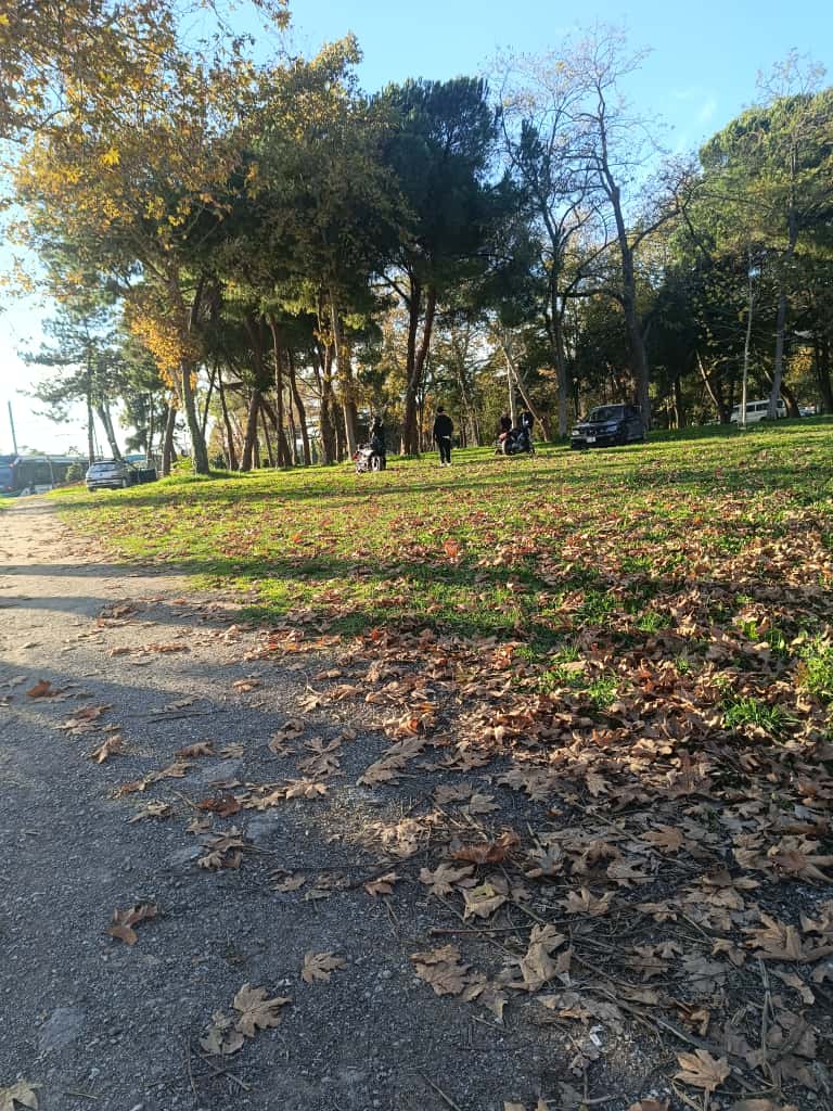 Whatsapp Image 2025 11 16 At 16.24.19