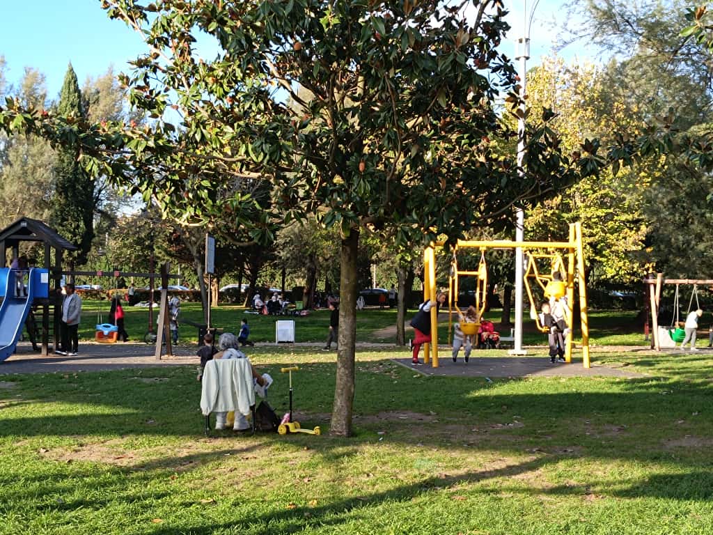 Whatsapp Image 2025 11 16 At 16.24.34