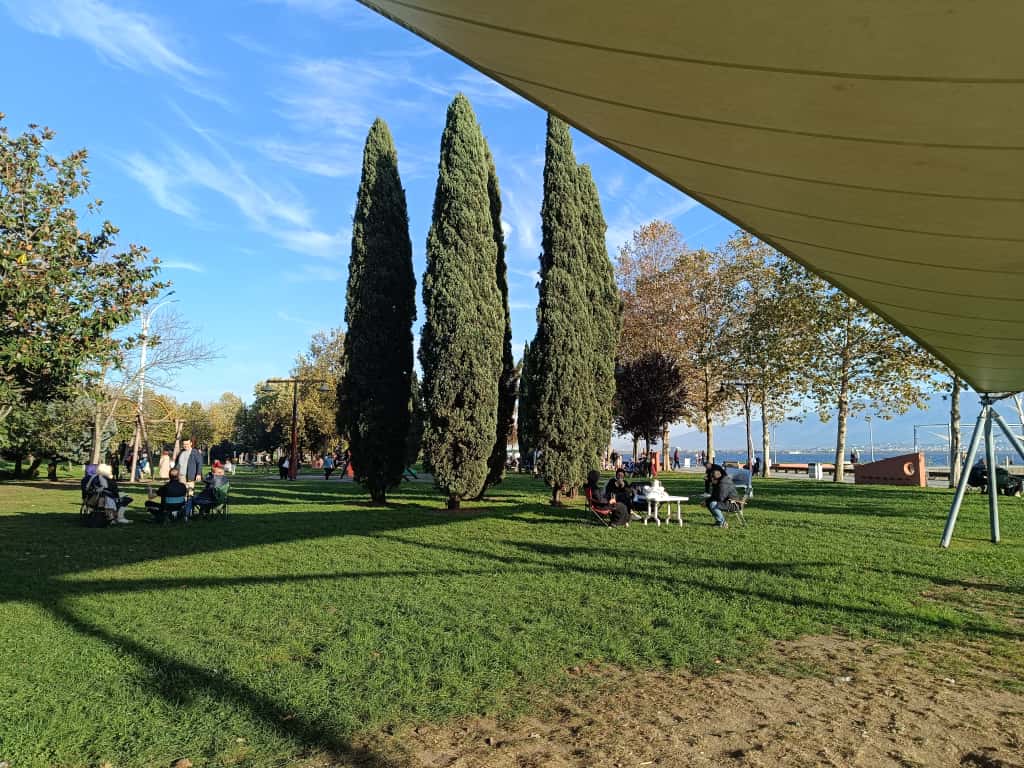 Whatsapp Image 2025 11 16 At 16.24.36