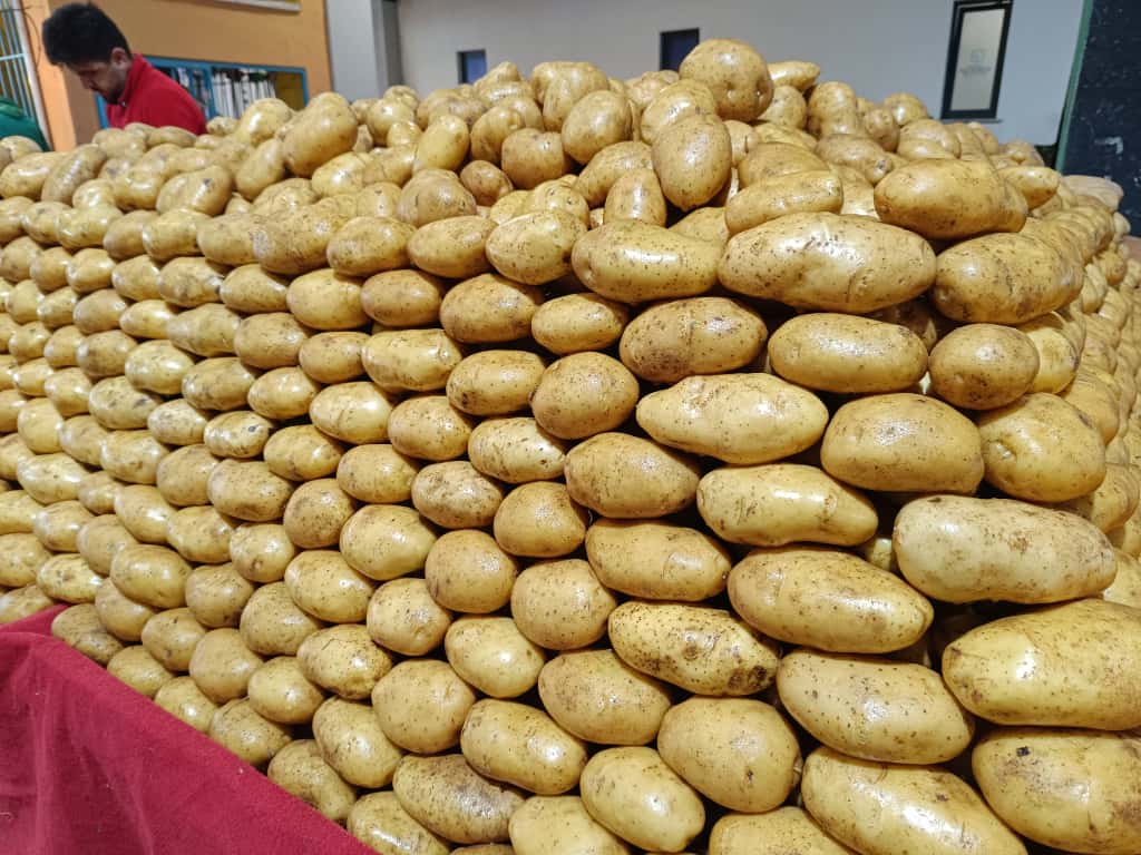 Whatsapp Image 2025 11 20 At 10.46.35 (2)