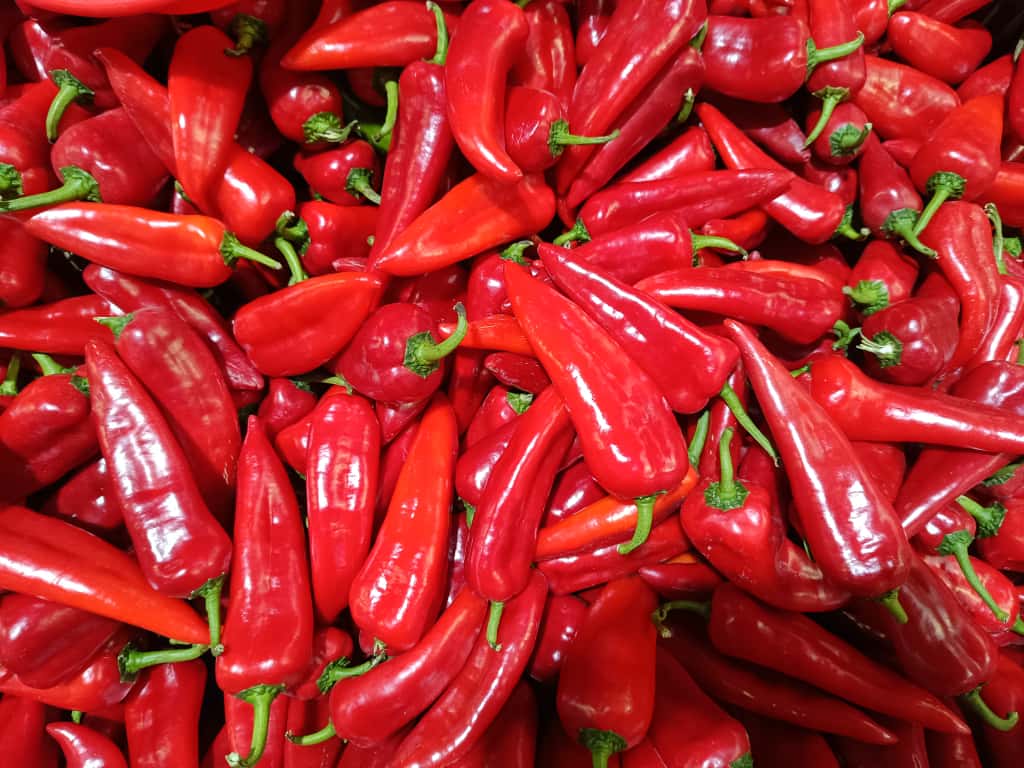 Whatsapp Image 2025 11 20 At 10.46.56 (1)