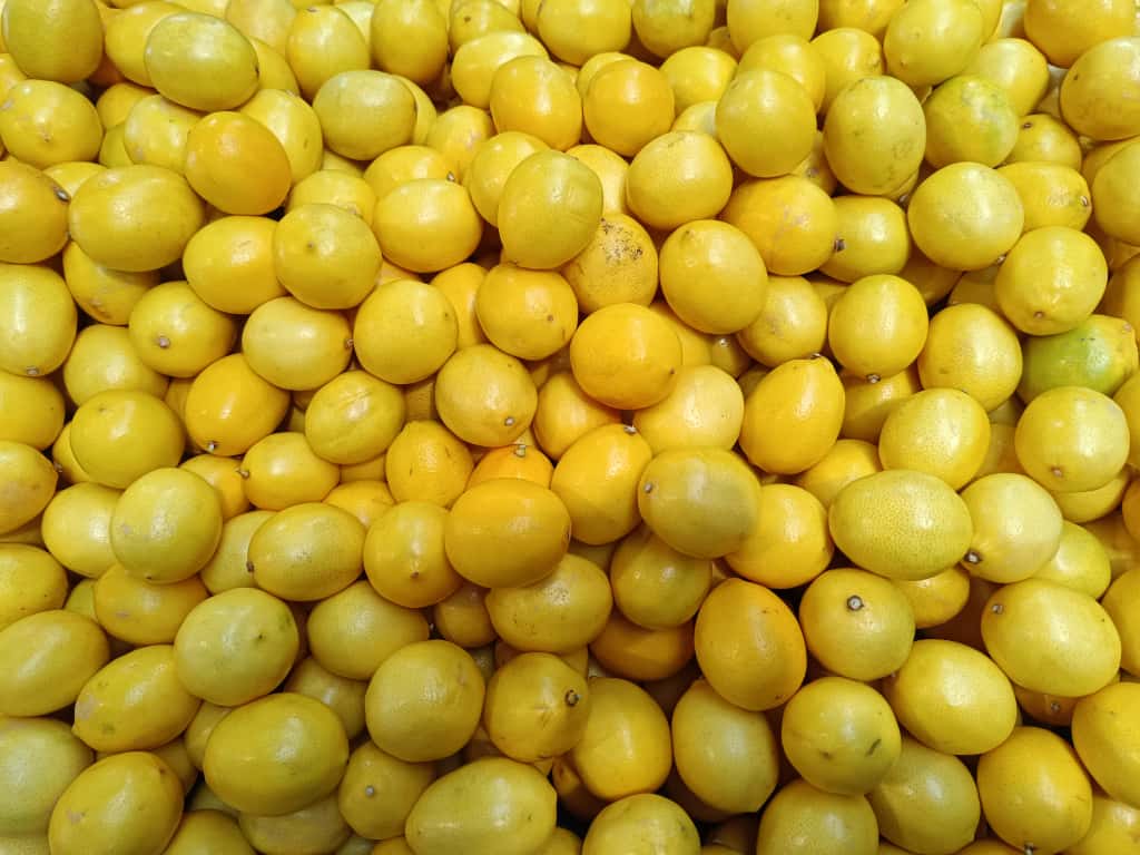 Whatsapp Image 2025 11 20 At 10.46.56