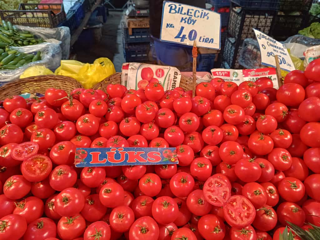 Whatsapp Image 2025 11 20 At 10.46.59