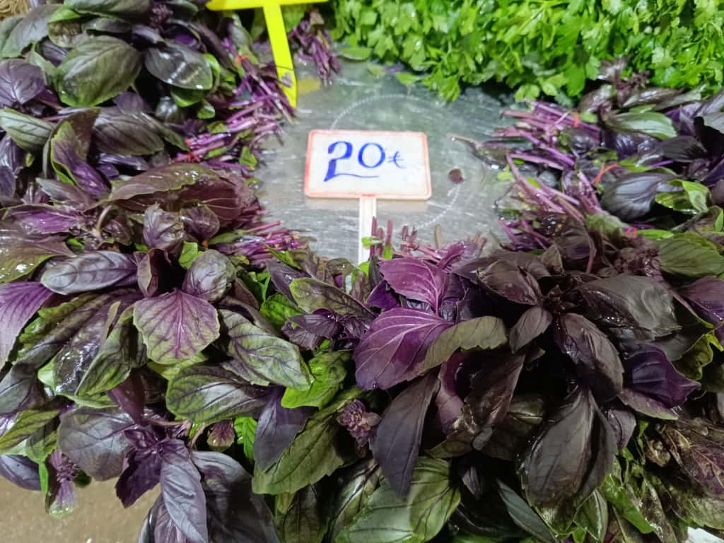 Whatsapp Image 2025 11 20 At 10.47.00 (1)