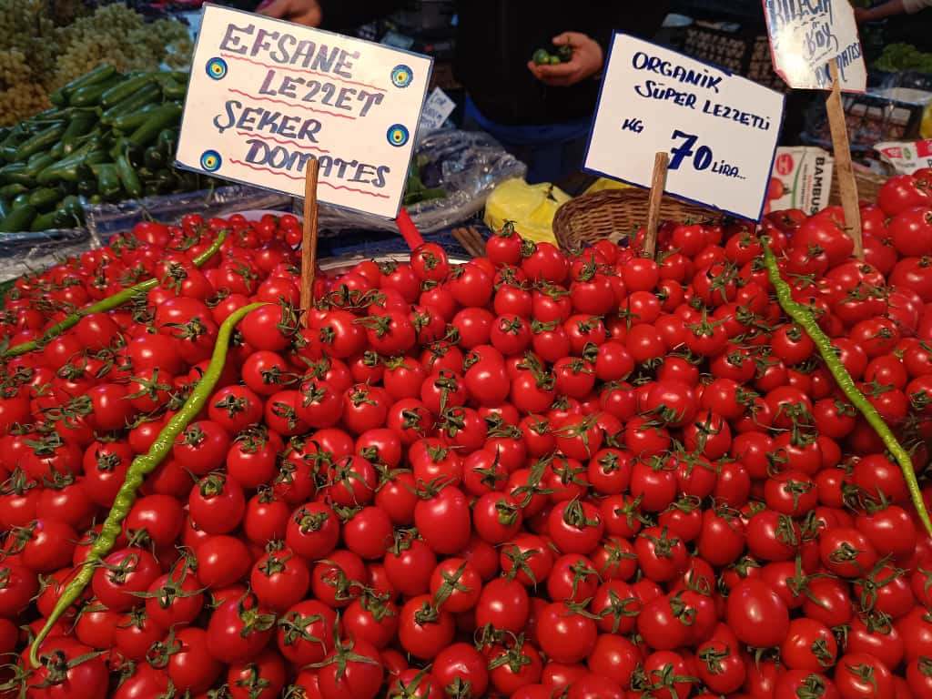 Whatsapp Image 2025 11 20 At 10.47.00