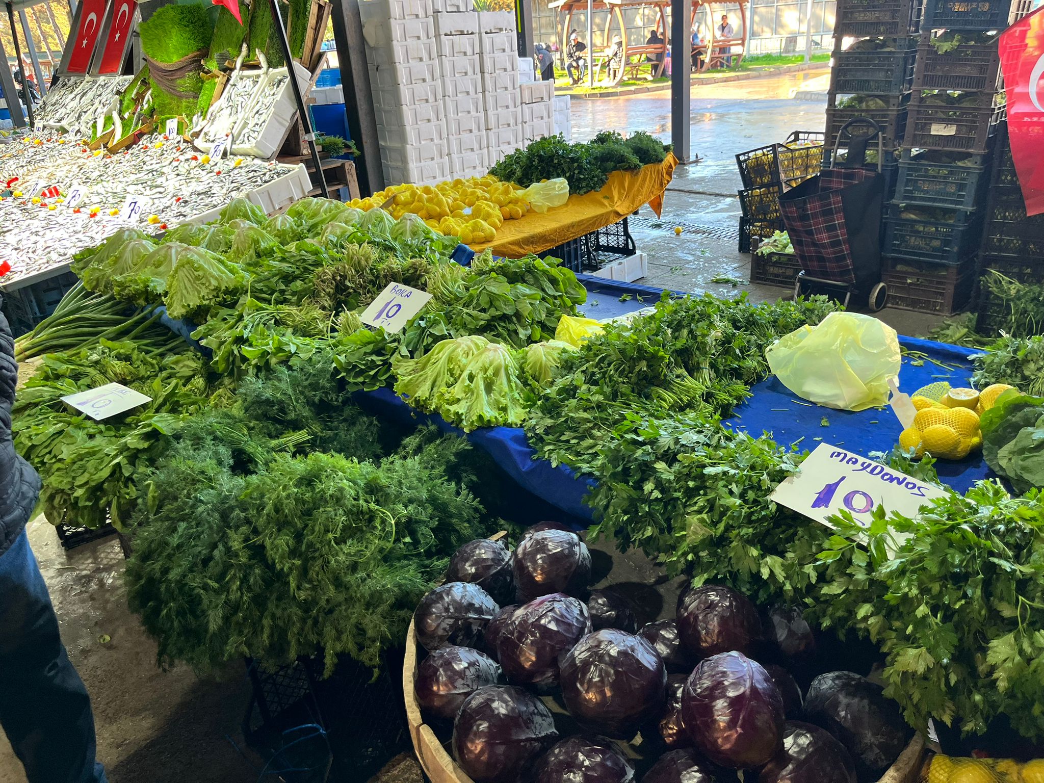 Whatsapp Image 2025 11 22 At 12.23.56