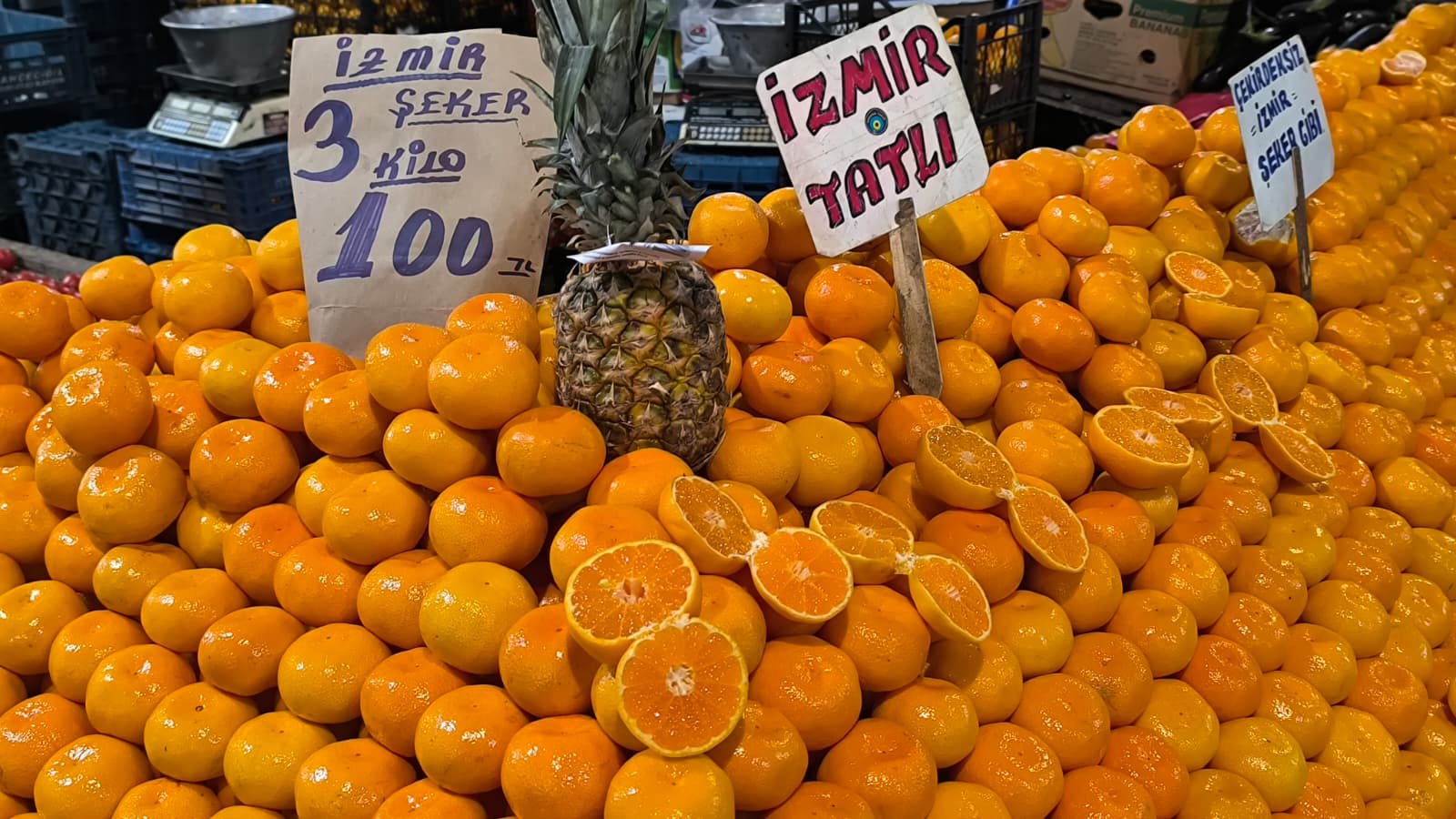 Whatsapp Image 2025 11 22 At 12.25.07