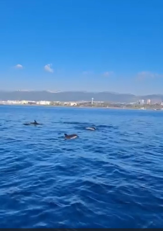 Whatsapp Image 2025 11 22 At 5.29.49 Pm (1)