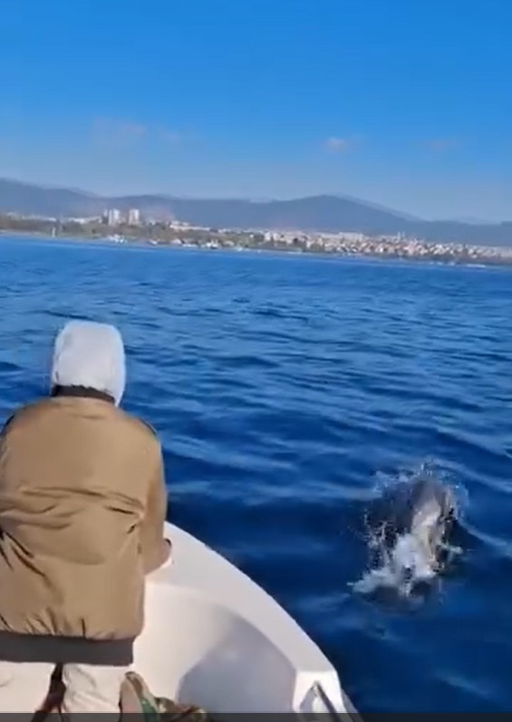 Whatsapp Image 2025 11 22 At 5.29.49 Pm (2)