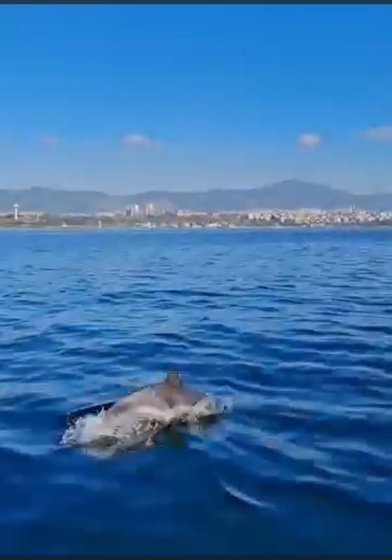 Whatsapp Image 2025 11 22 At 5.29.49 Pm