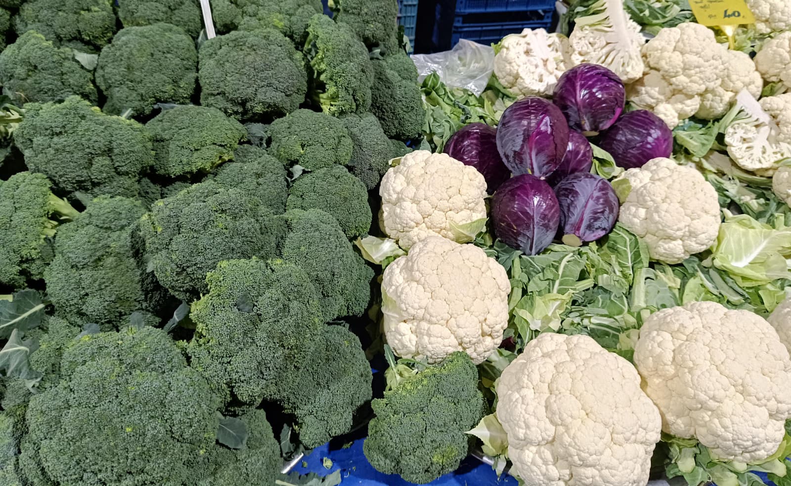 Whatsapp Image 2025 11 27 At 10.06.26