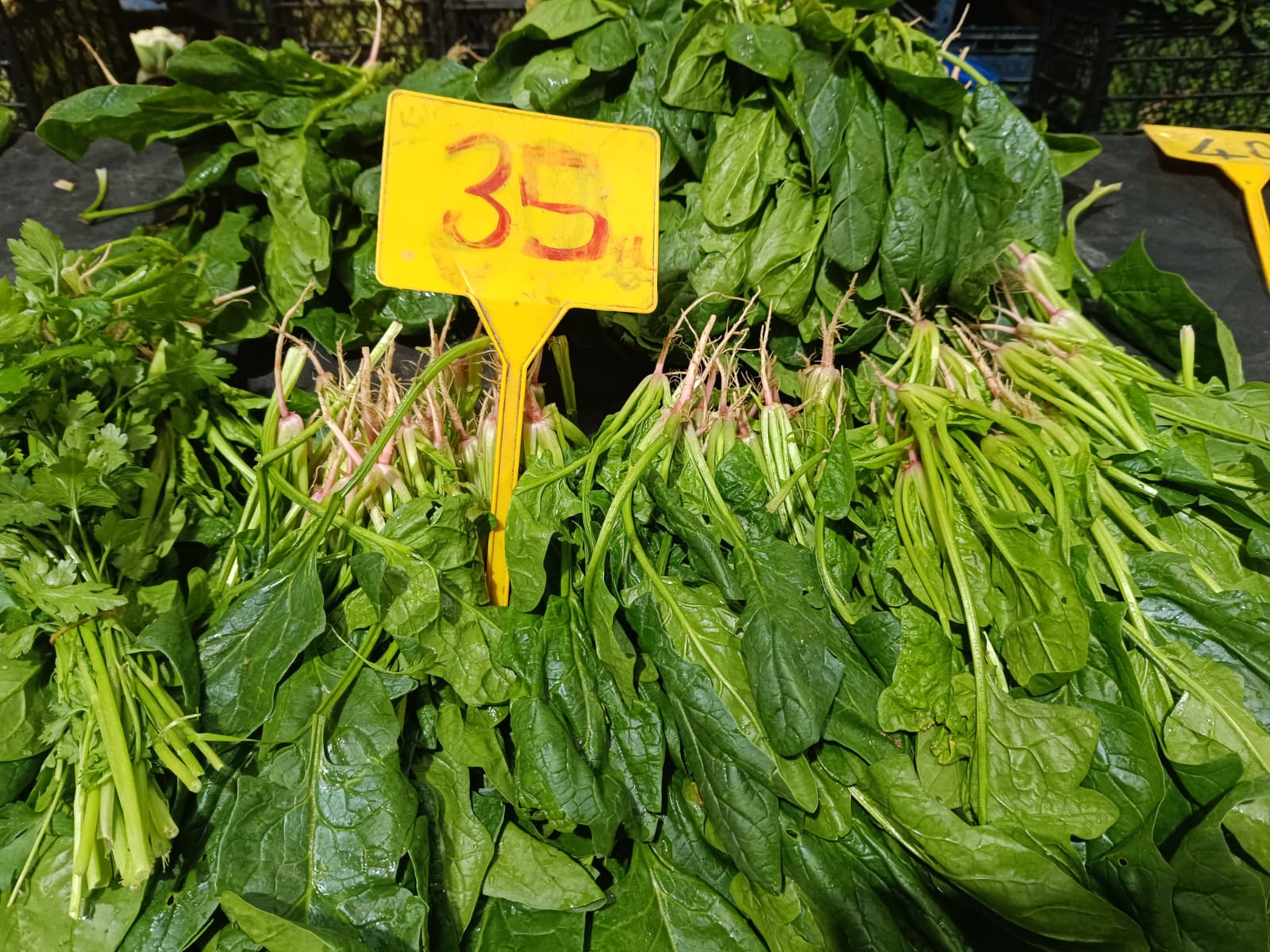 Whatsapp Image 2025 11 29 At 10.17.45