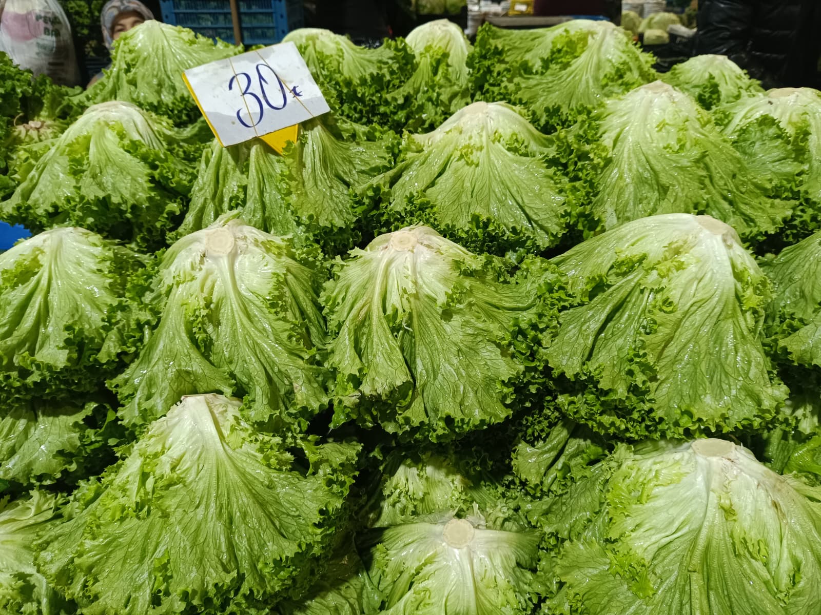 Whatsapp Image 2025 11 29 At 10.17.46 (1)