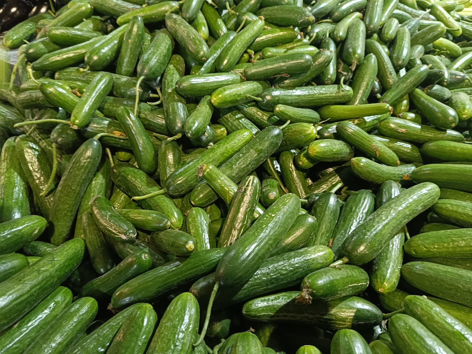 Whatsapp Image 2025 11 29 At 10.17.52