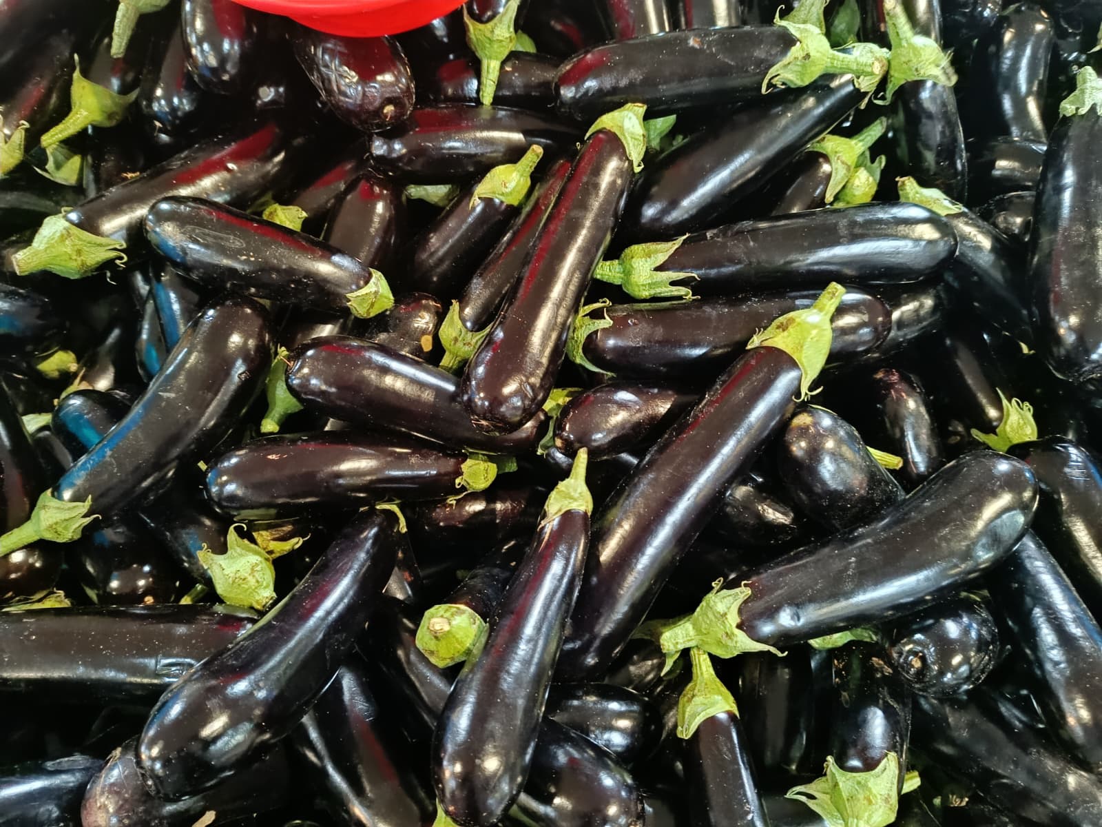 Whatsapp Image 2025 11 29 At 10.18.10