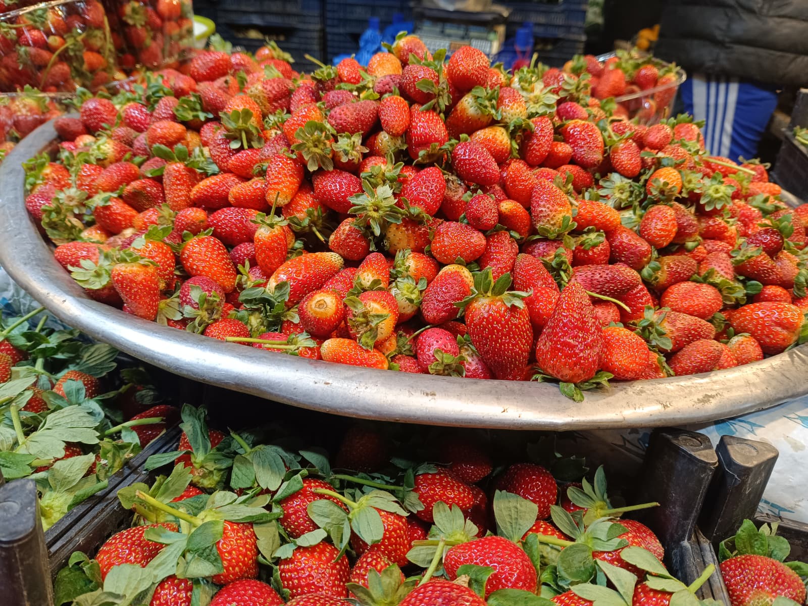 Whatsapp Image 2025 11 29 At 10.18.11