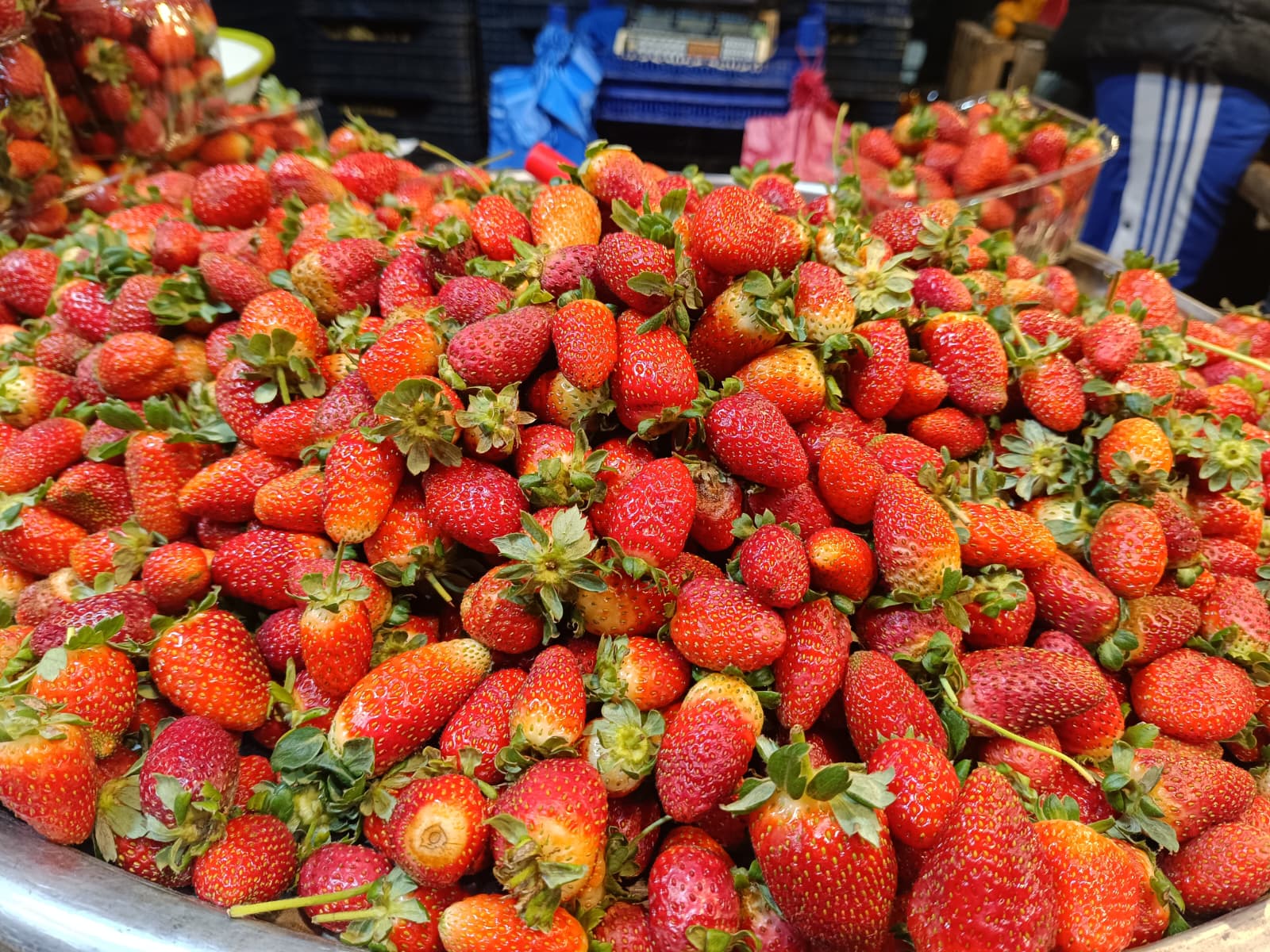 Whatsapp Image 2025 11 29 At 10.18.12 (2)